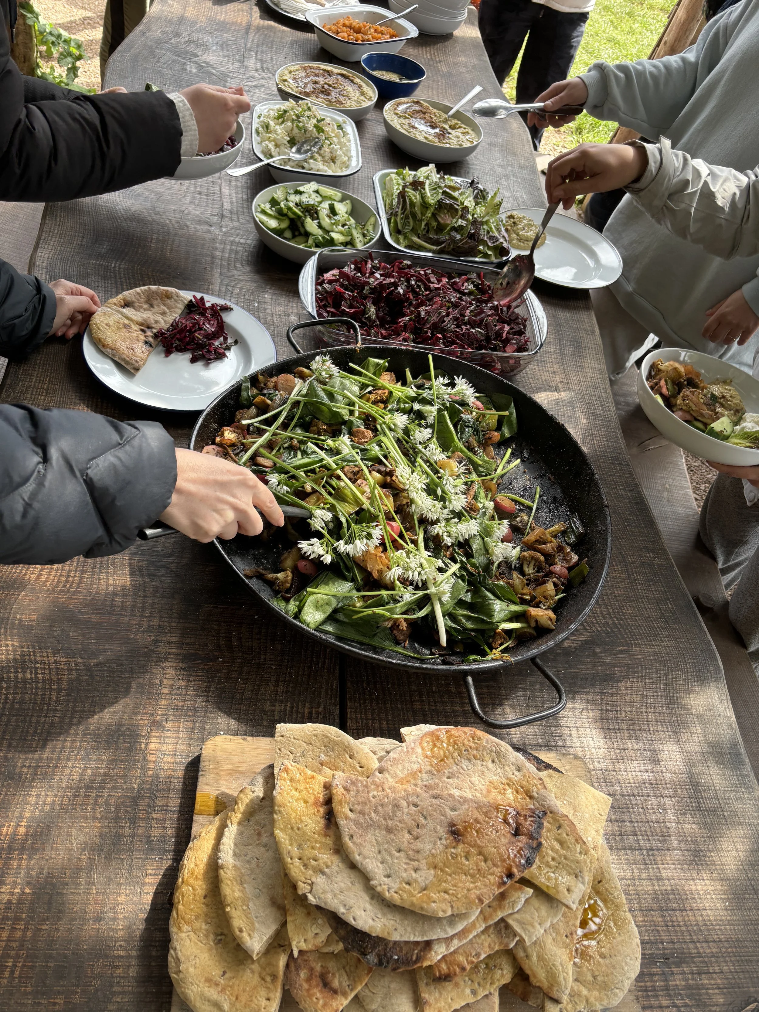 Selection of plant based food.