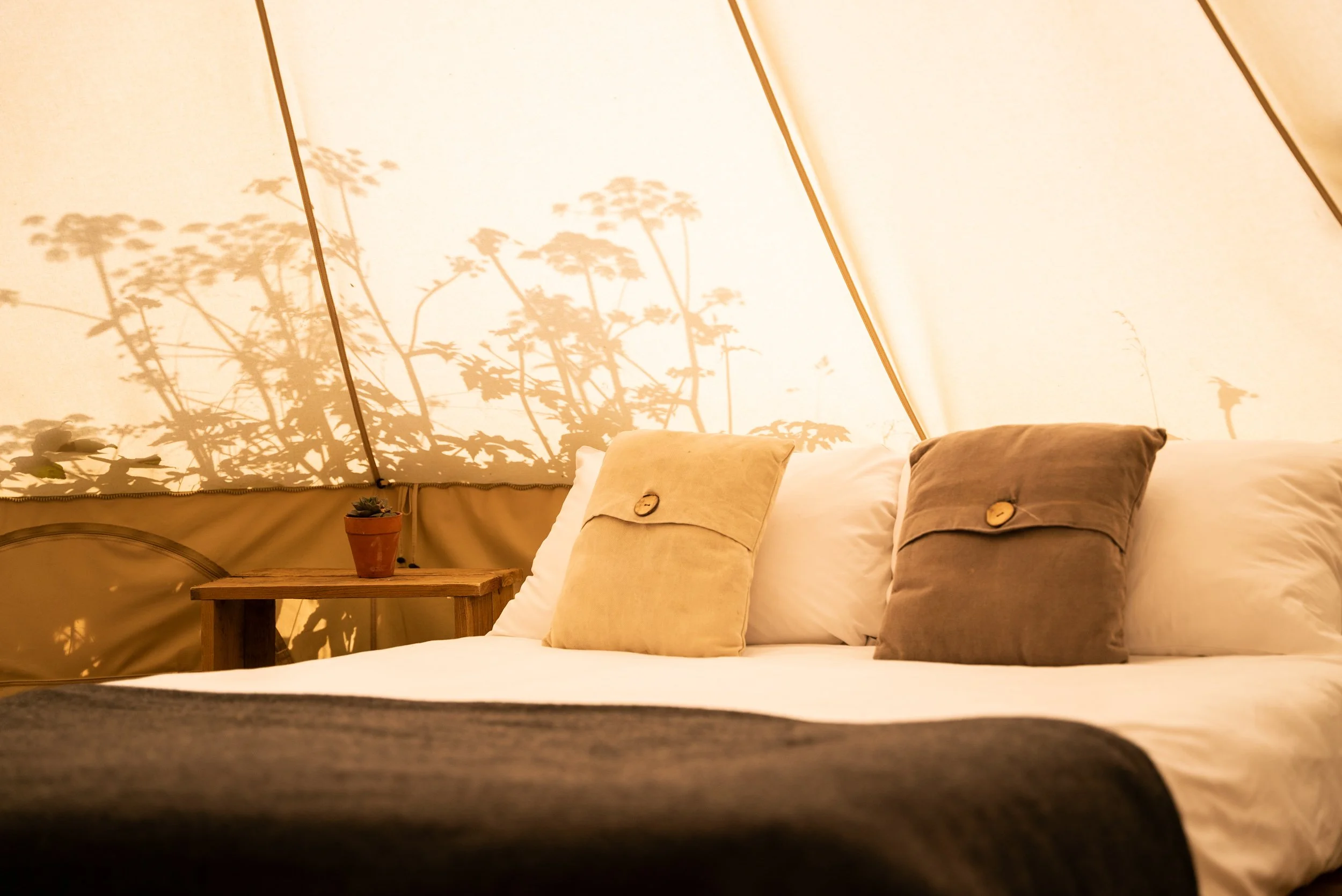 Double bed inside Bell Tent