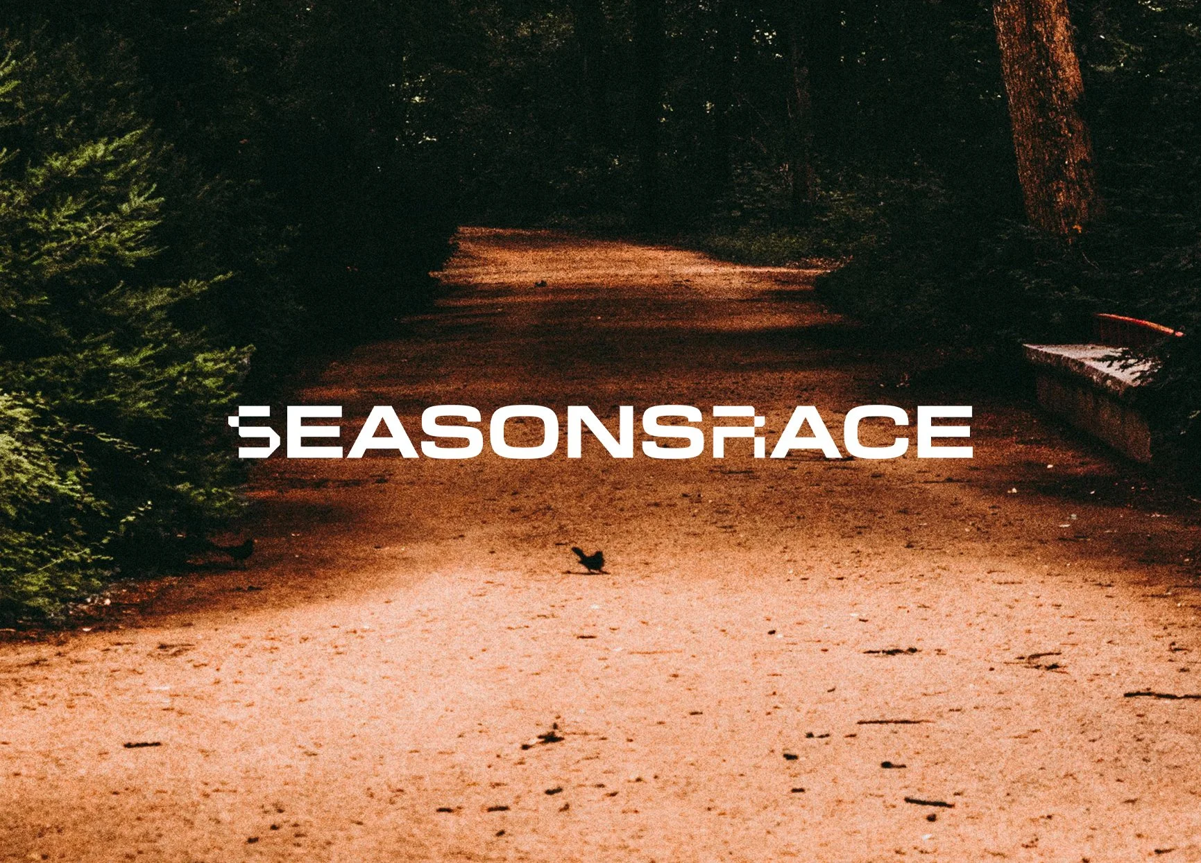Seasonsrace