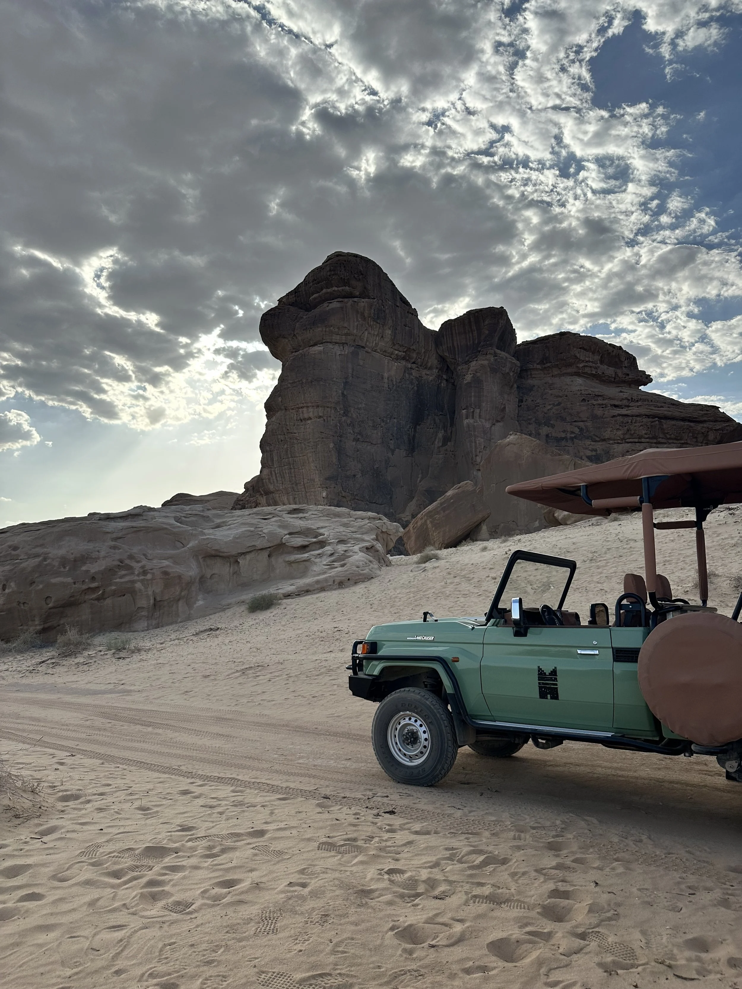 Safari