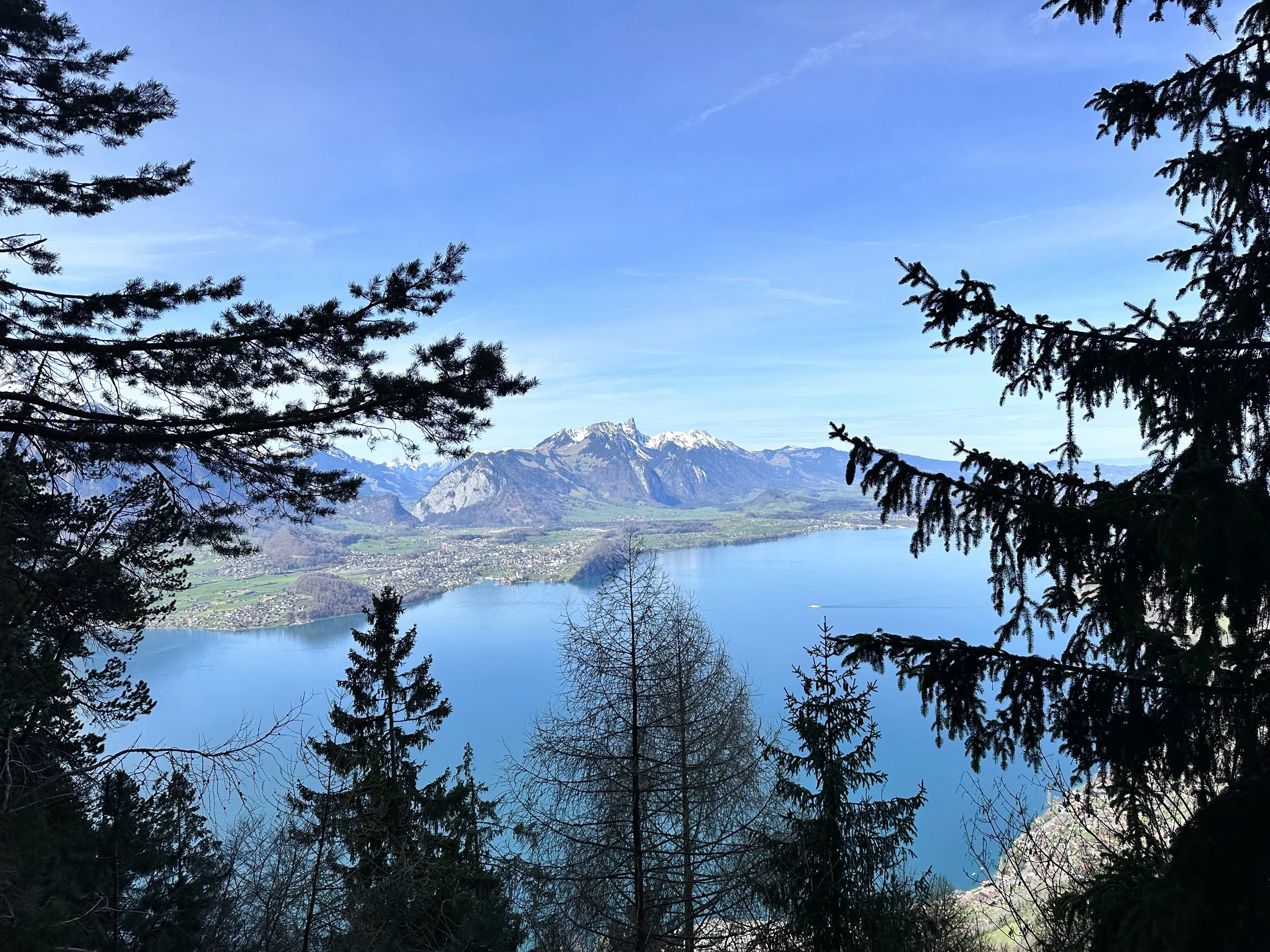 IMG_7460.jpeg
