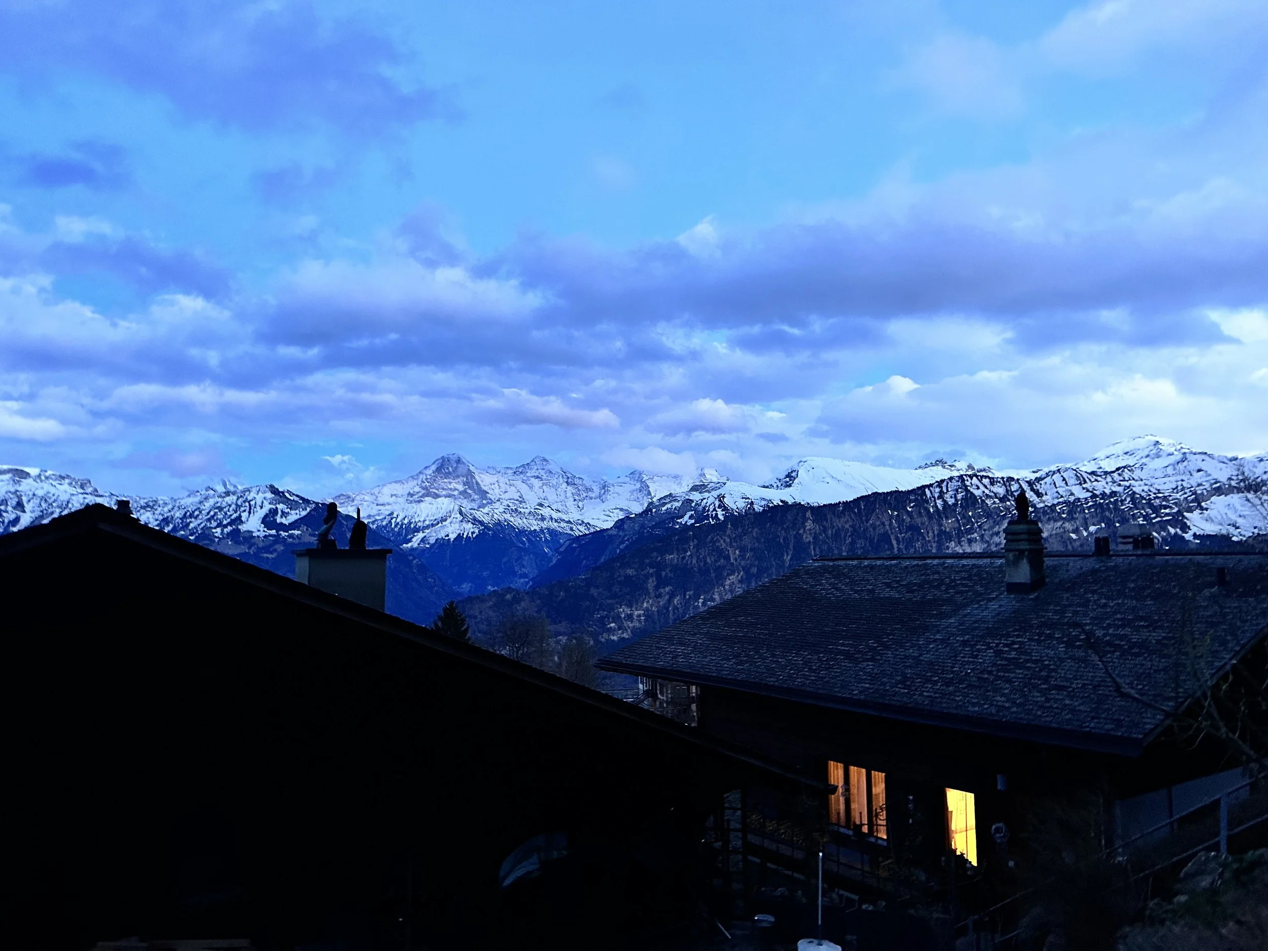 IMG_7188.jpeg