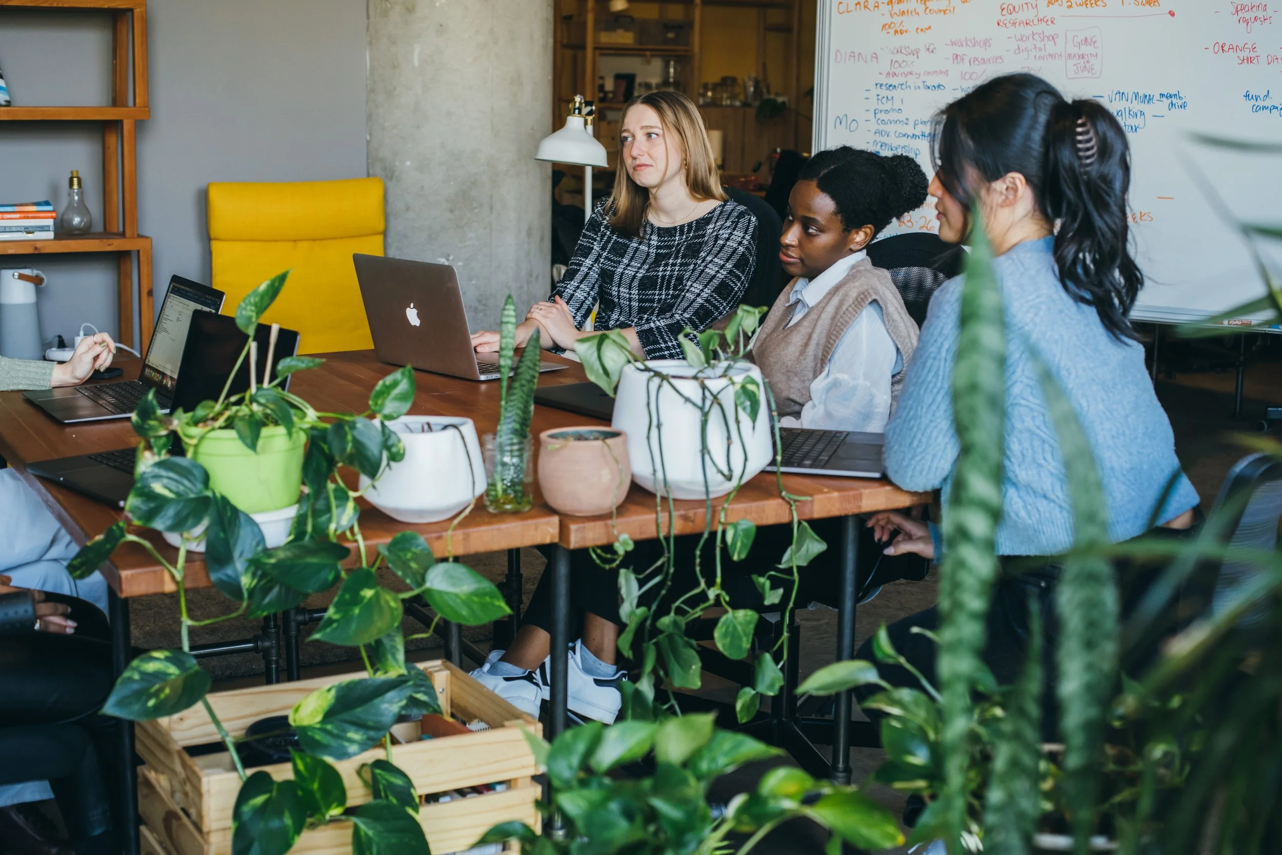 Member Information Session