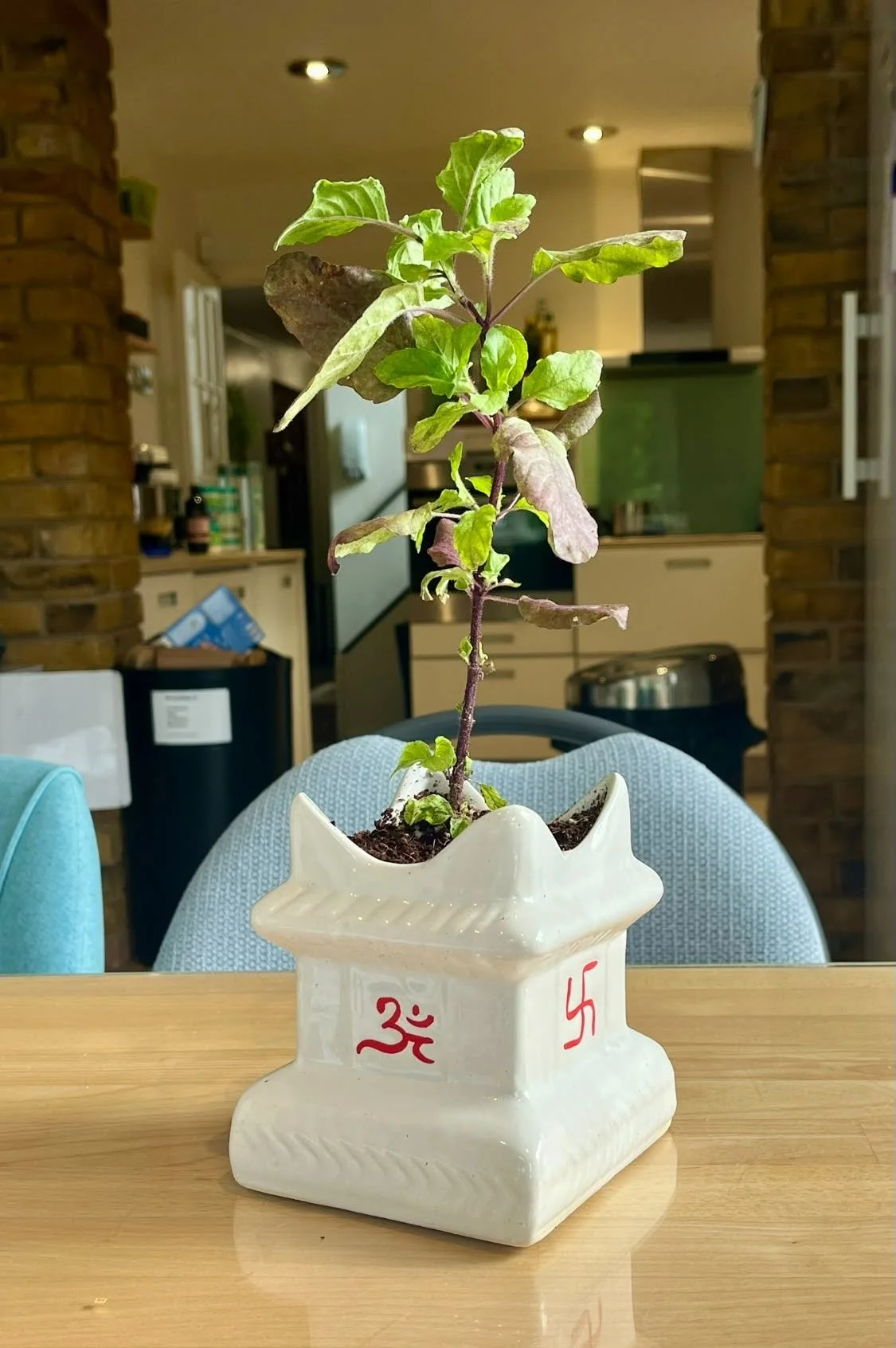 Ma Tulsi 🌱