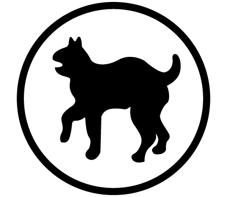 U.S. ARMY 81ST Regional Support Command - Fort Jackson SC