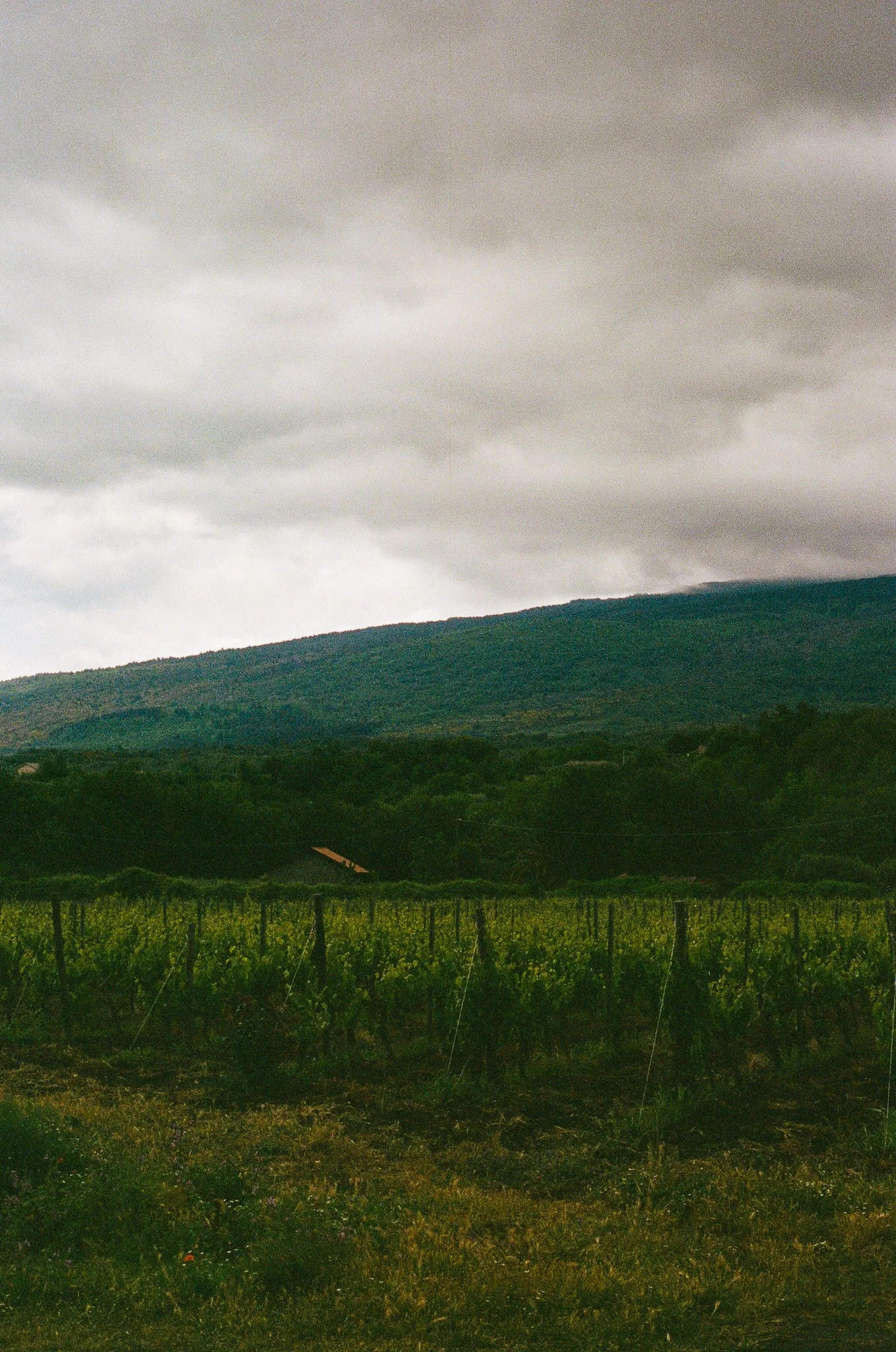Mt. Etna, Sicily