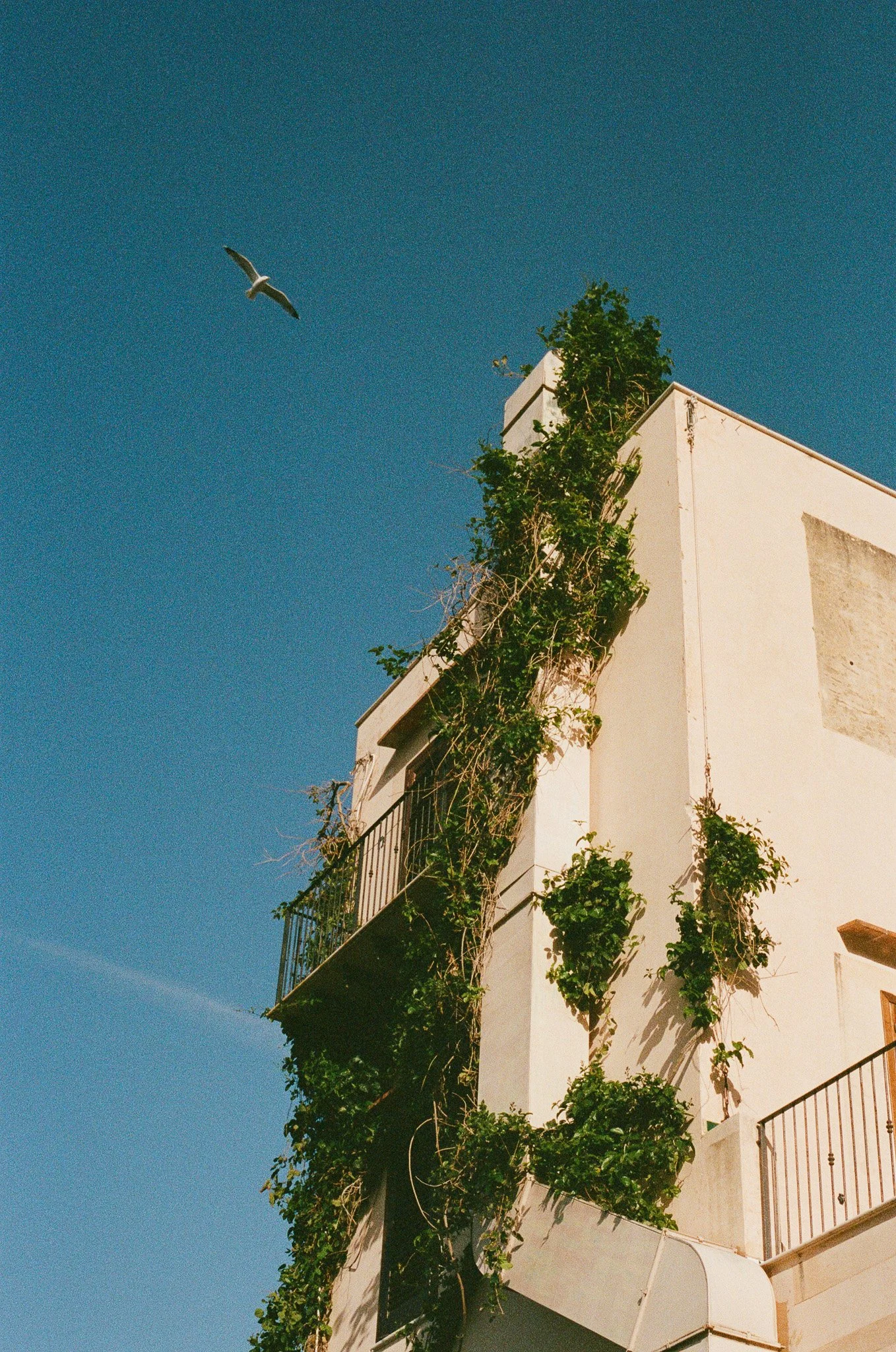 Scopello, Sicily