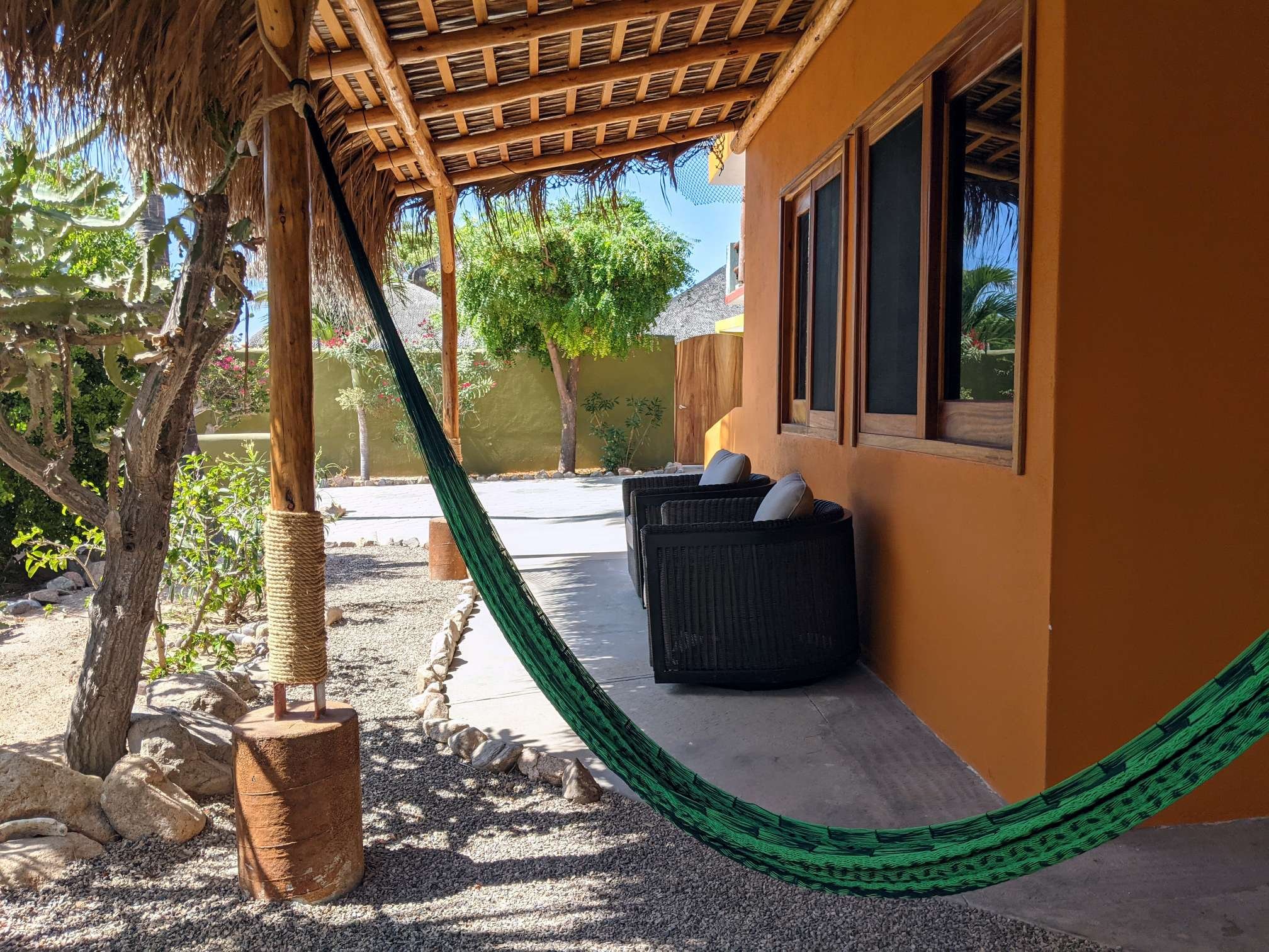 hammock DP.jpg