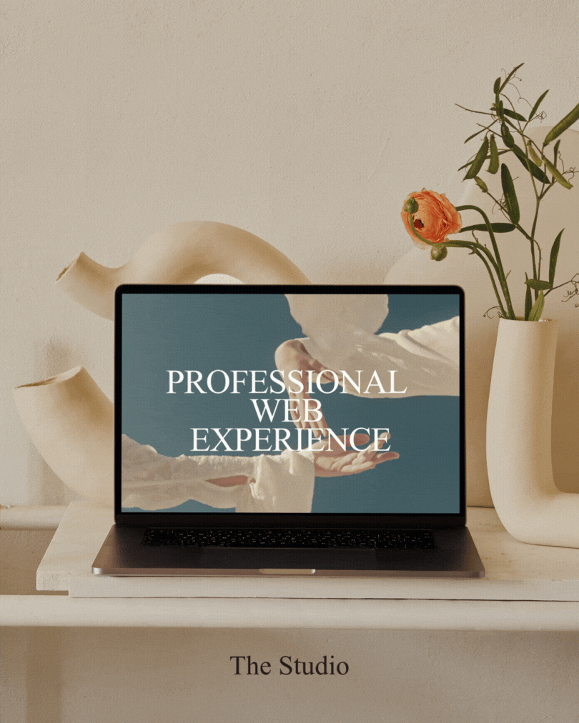 PROFESSIONAL WEB EXPERIENCE