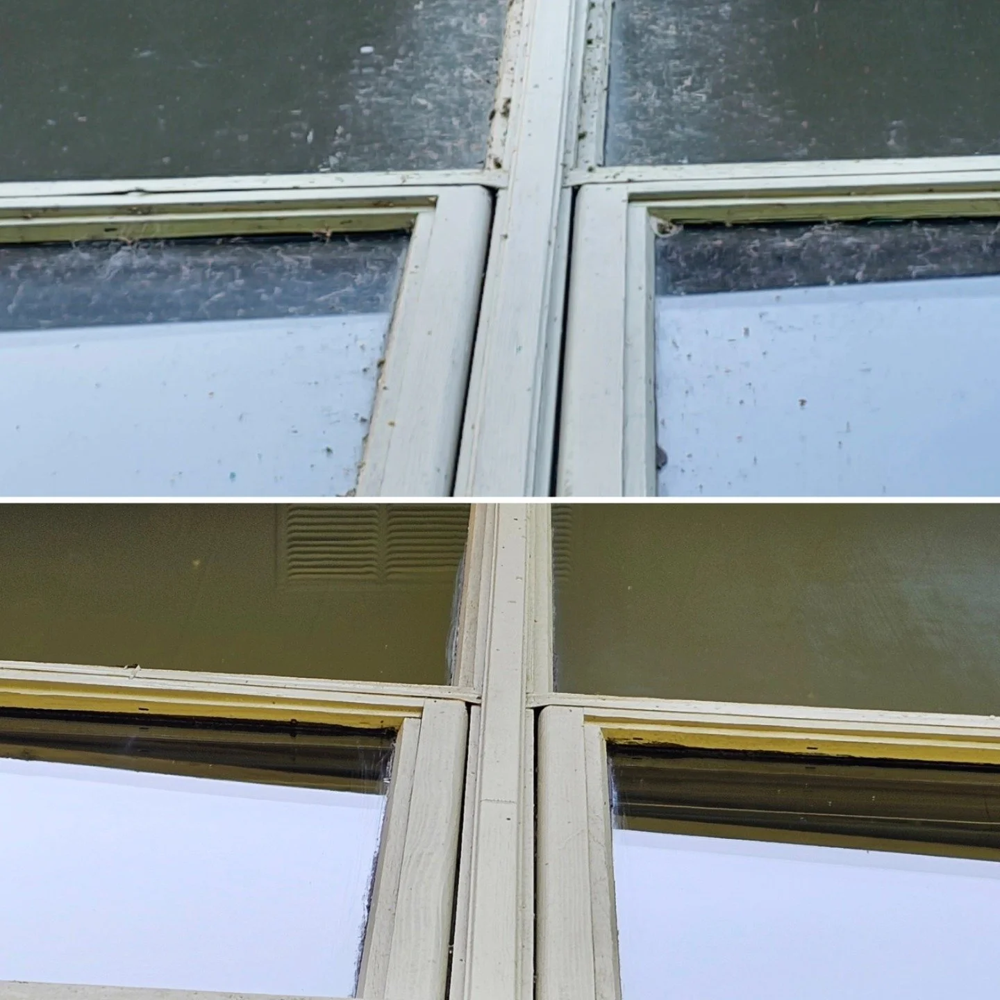 DREAMVIEW  BEFORE AND AFTER.jpg