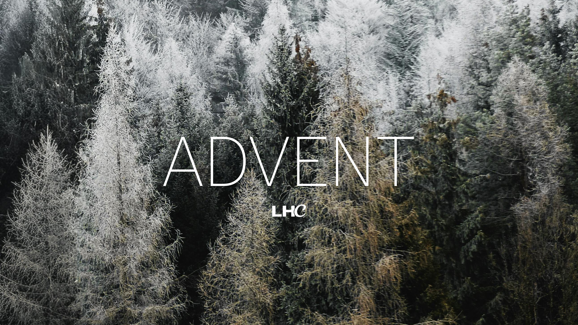 Christmas At Lighthouse! 