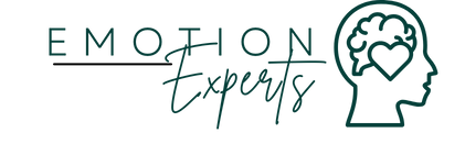 theemotionexperts.com
