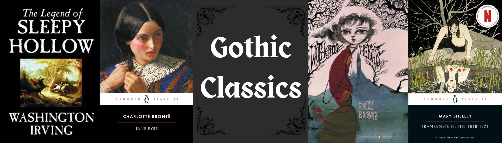 Banner for book blog section headers.png