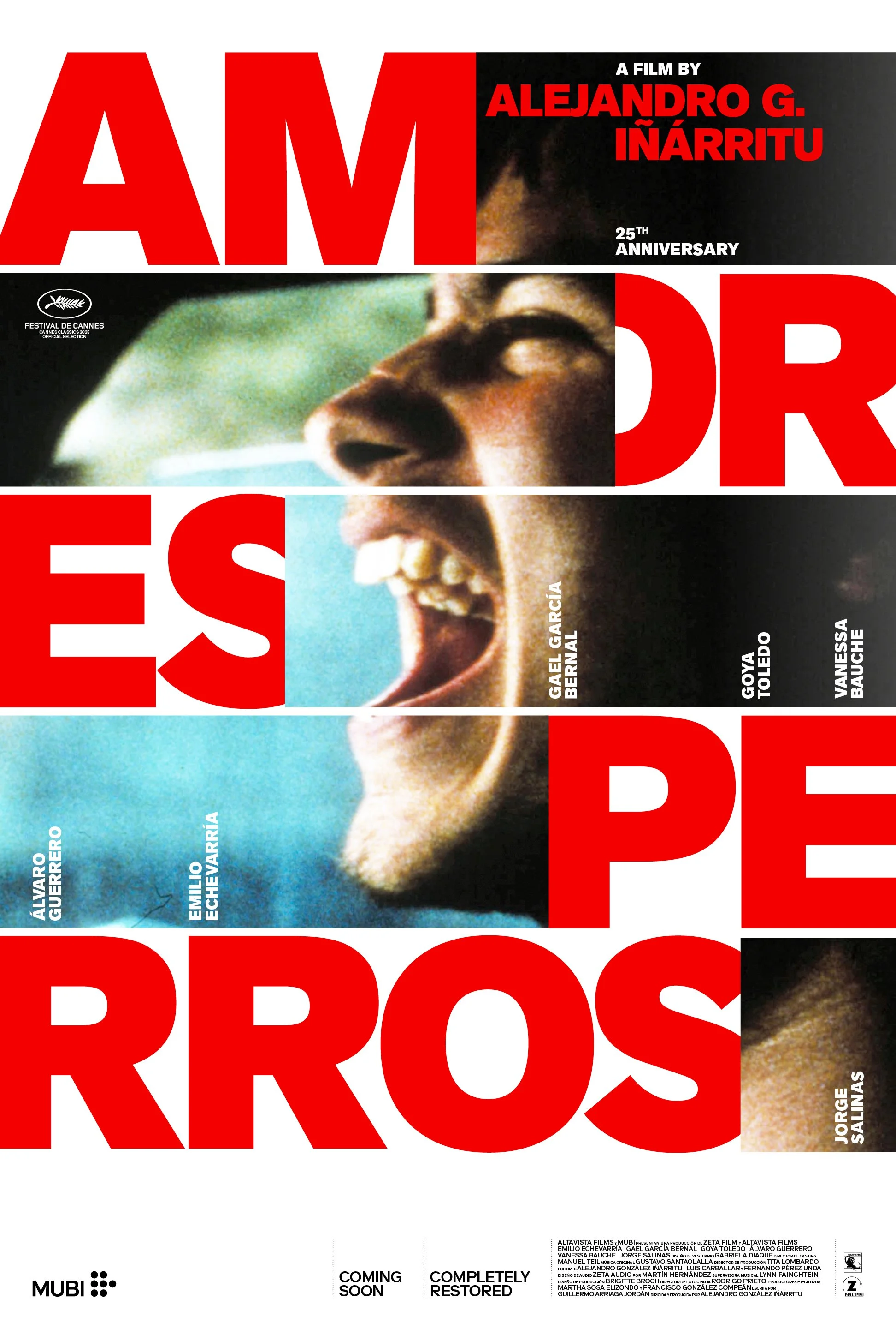 AMORES PERROS (MEXICO, 2000)