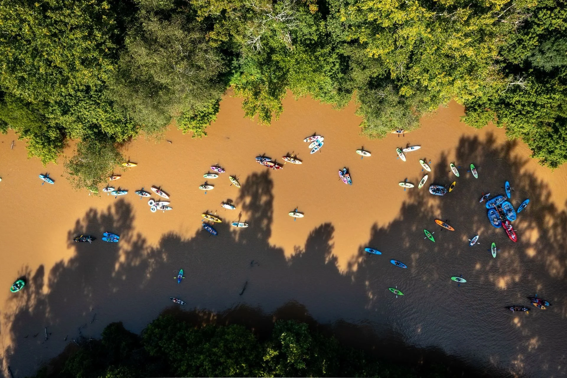 catawba+river+keeper+fork+fest+2023+nelson+stegall+photography+(7+of+9)-1920w.jpg
