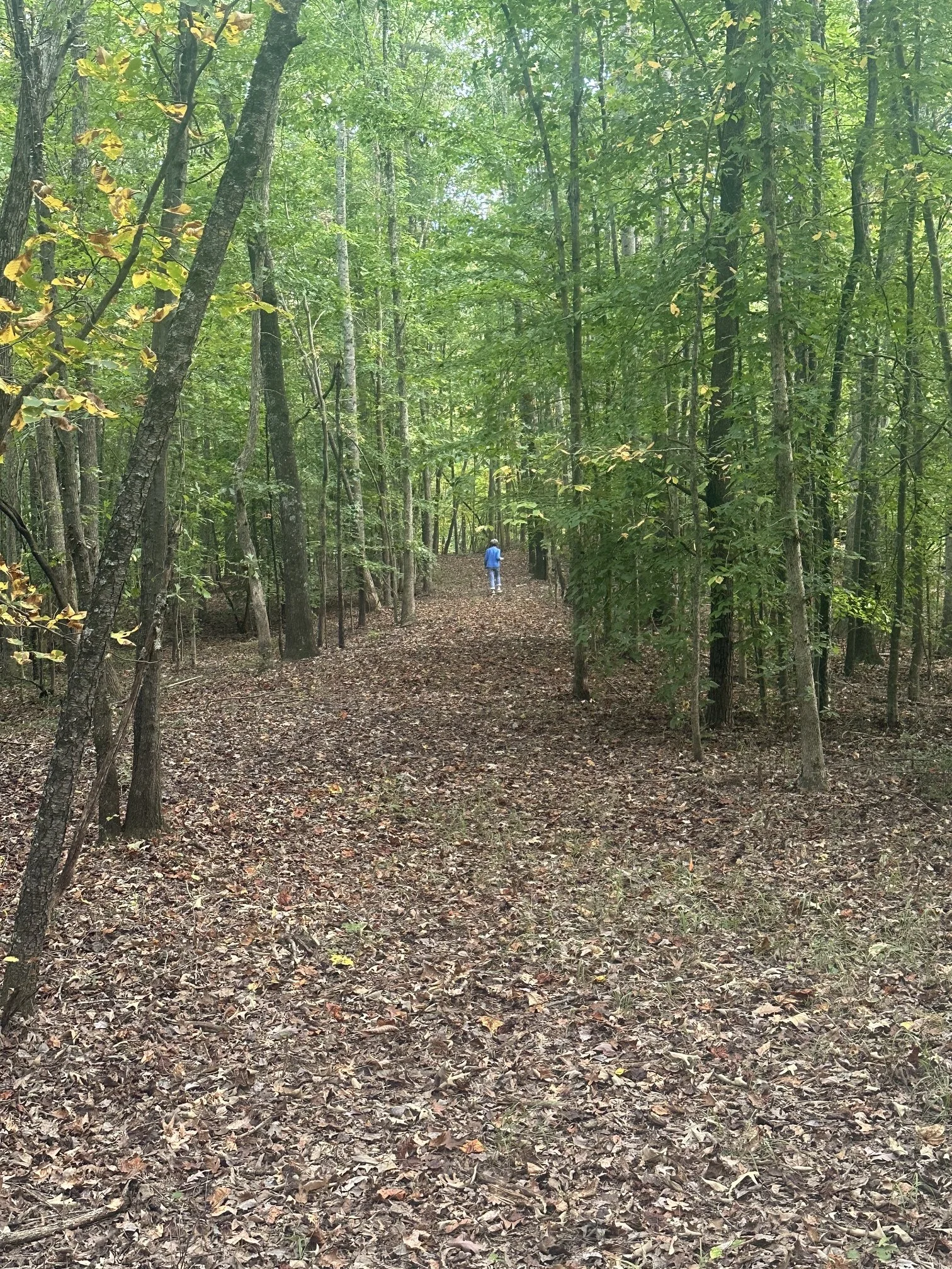 Hit the Trail with HEARTS