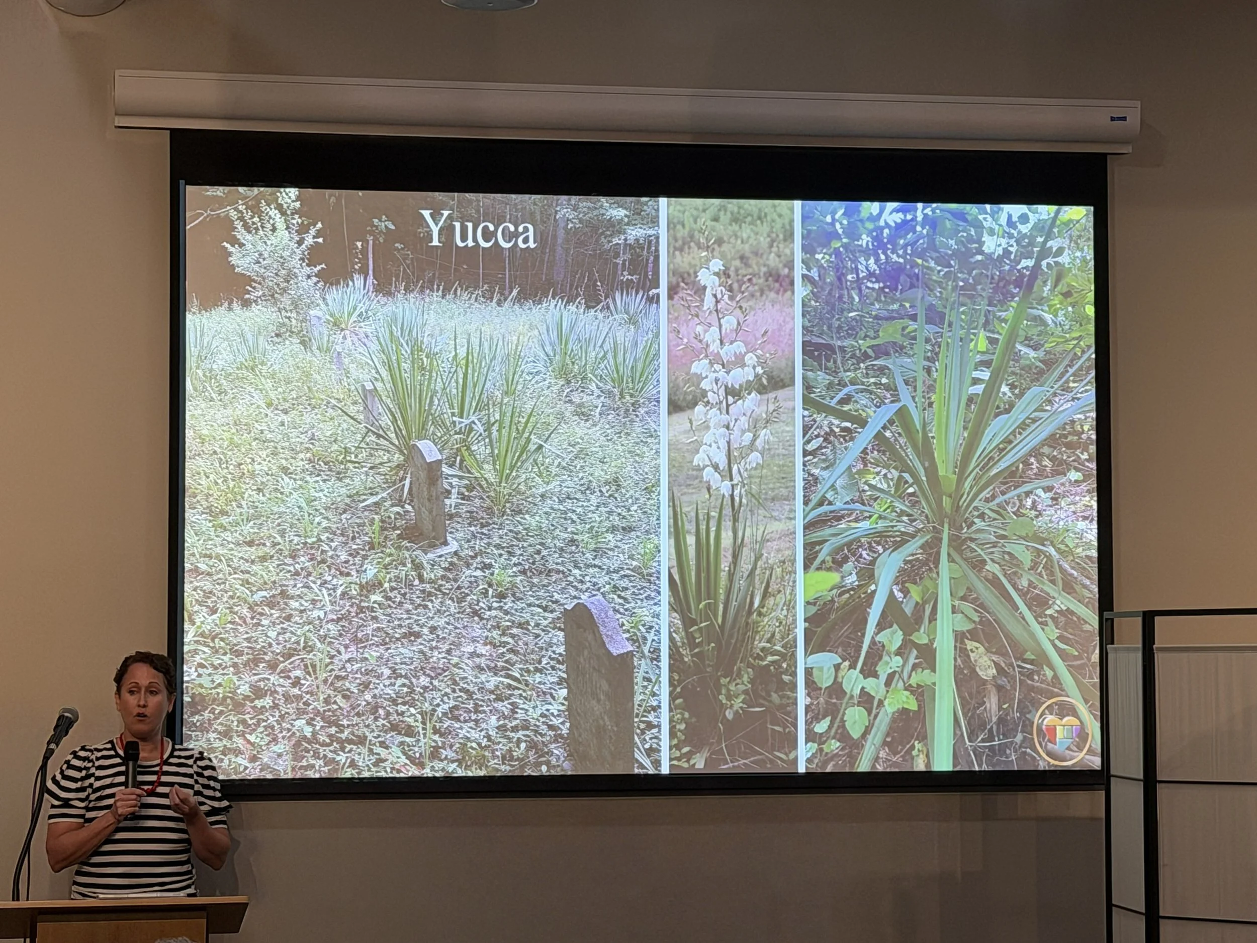 Marty Gimson with Yucca slide.jpg