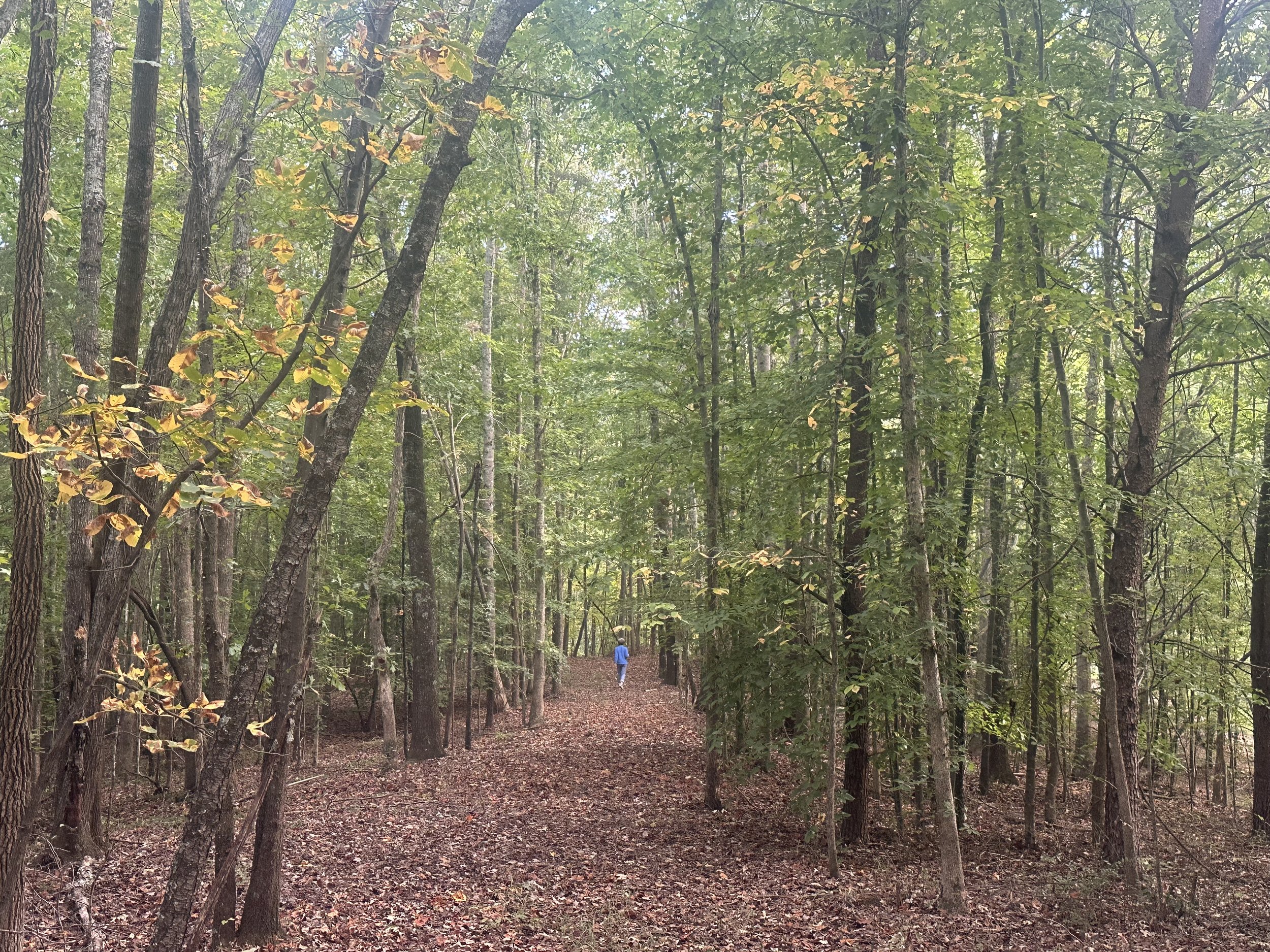 HEARTS: Trails Through Time '26