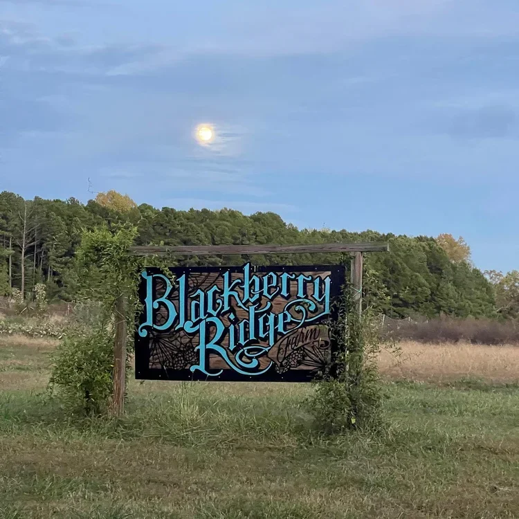 Sign for Blackberry Ridge Farm with spider web design, surrounded by greenery under a moonlit sky.
