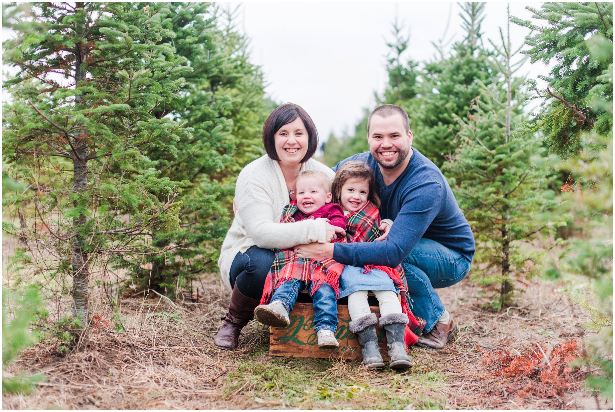 Stewart Family Benjamin Tree Farm Family Session
