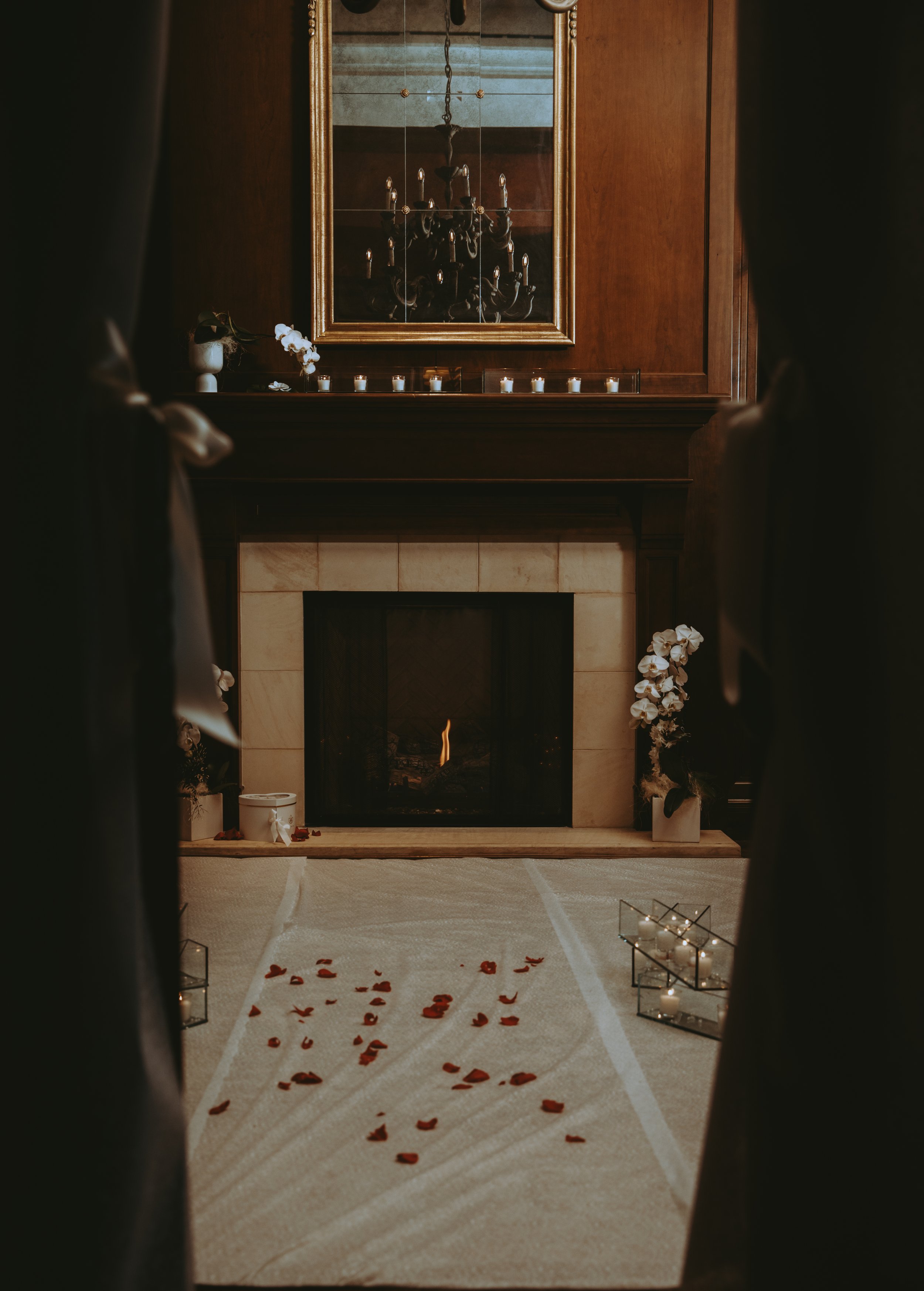 525A6790.jpg