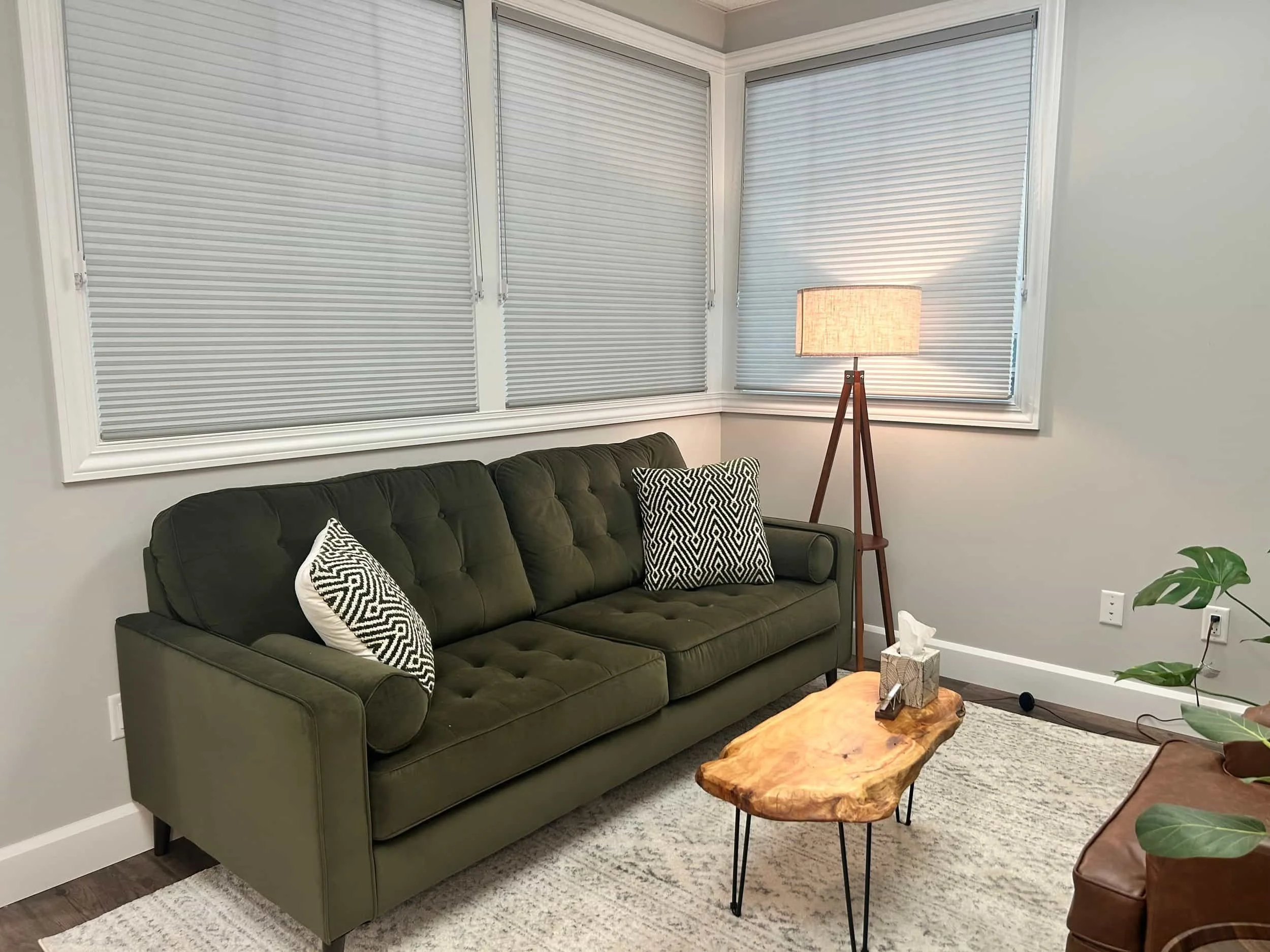 A green sofa with pillows beside a tripod lamp and a wooden coffee table in a bright, cozy living room with blinds.