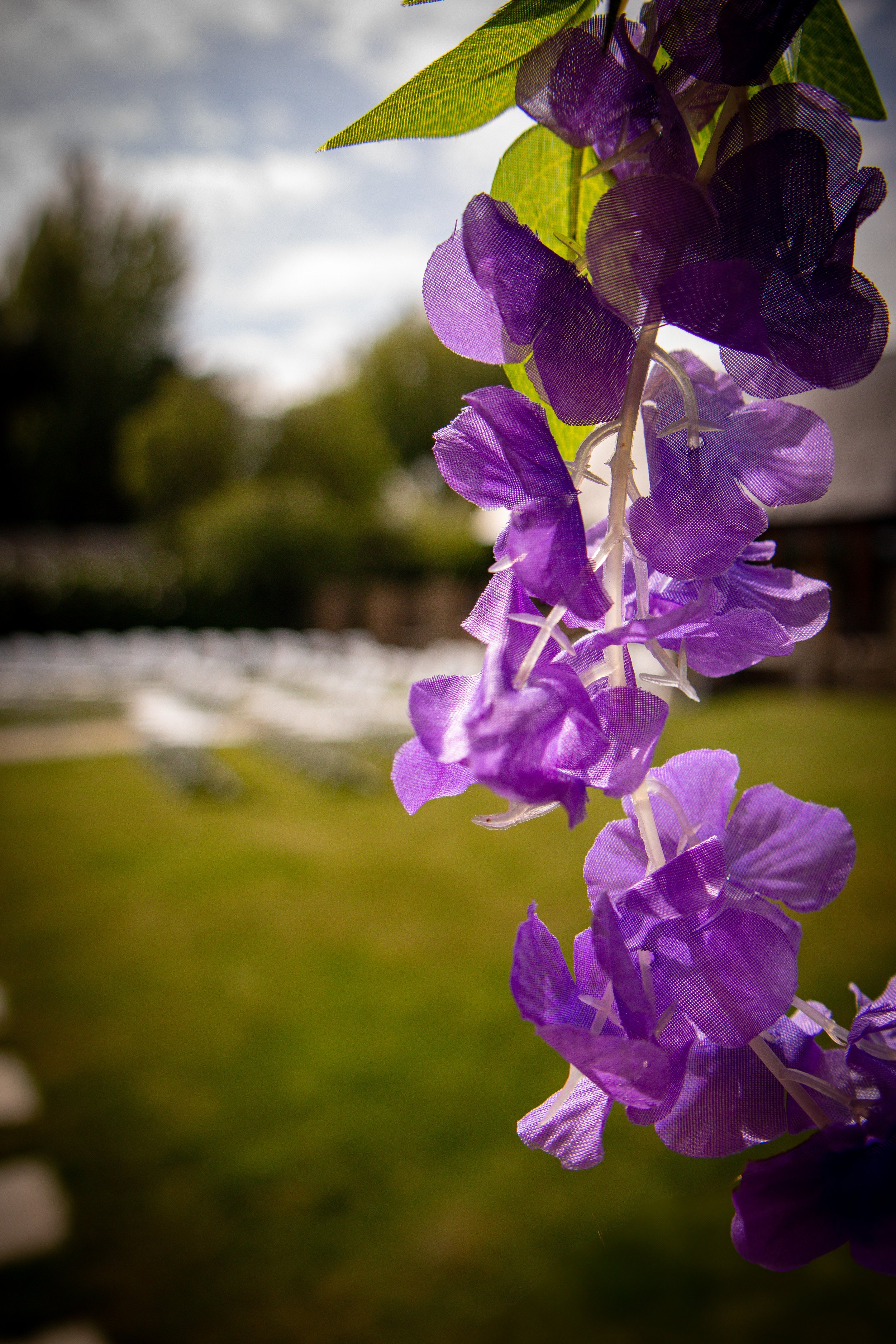_MG_4651.jpg