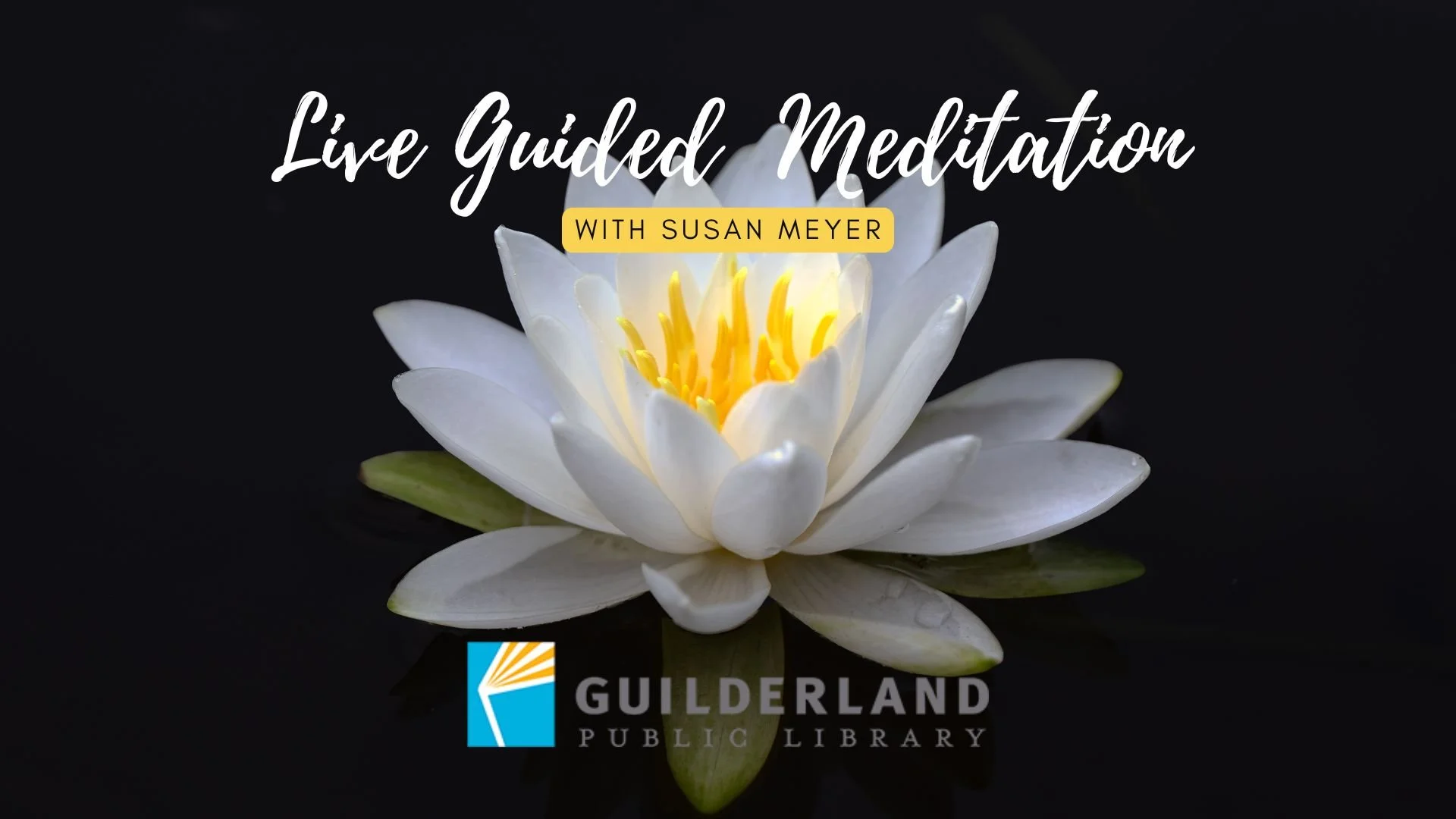30-minute mindfulness (Afternoon)