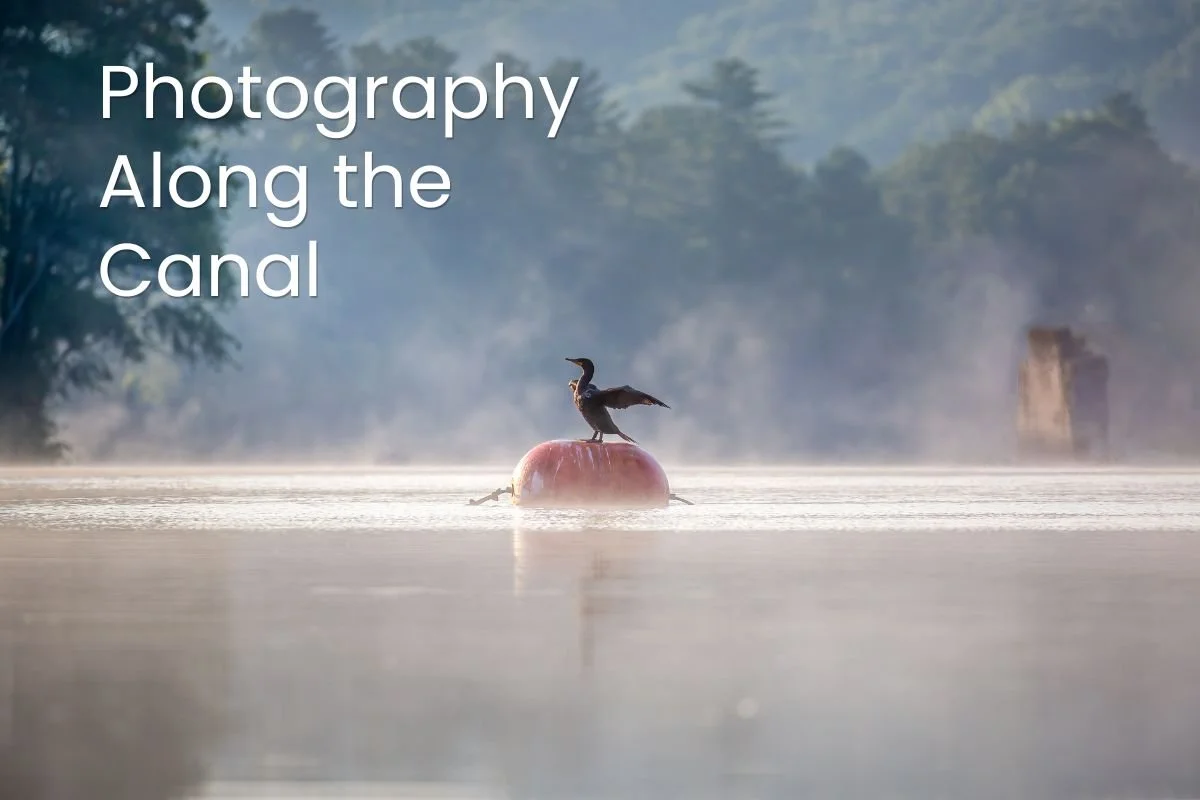Photography Along the Canal