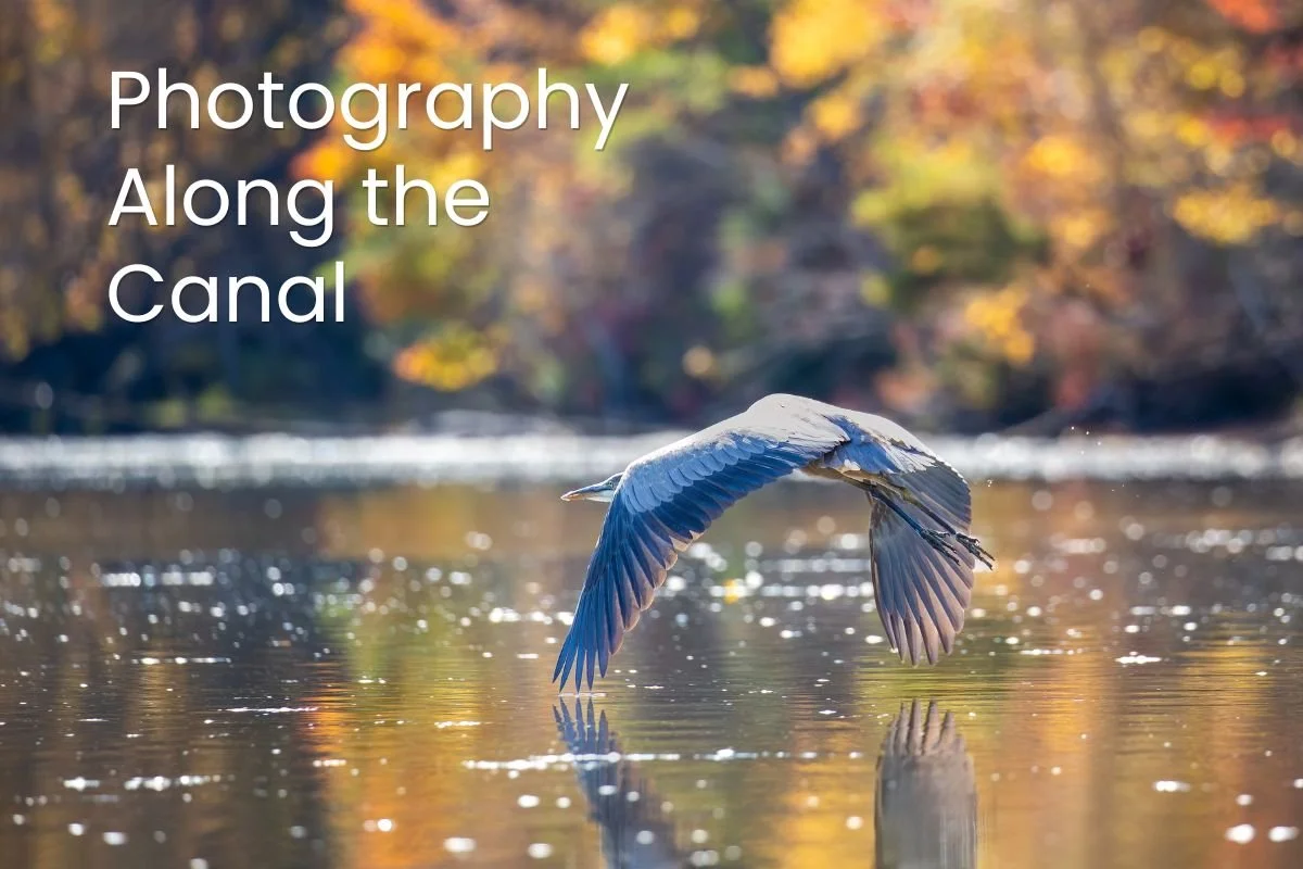 Photography Along the Canal