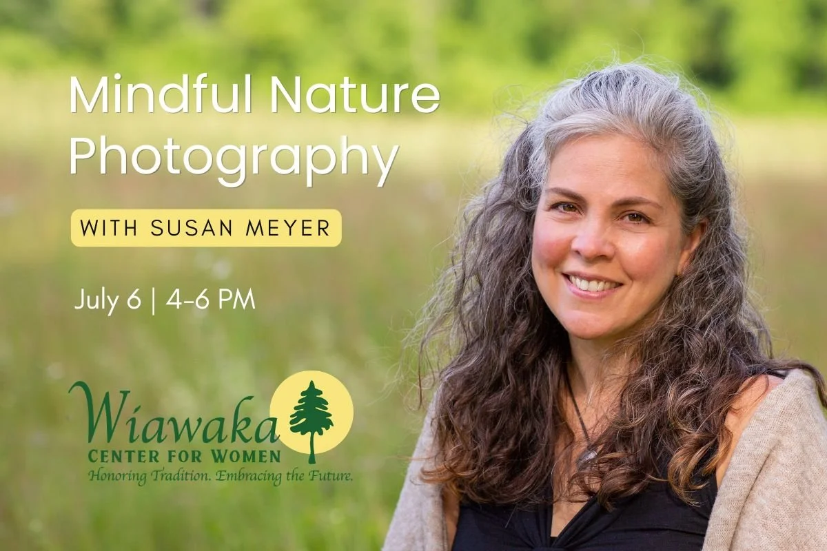 Mindful nature Photography workshop at Wiawaka