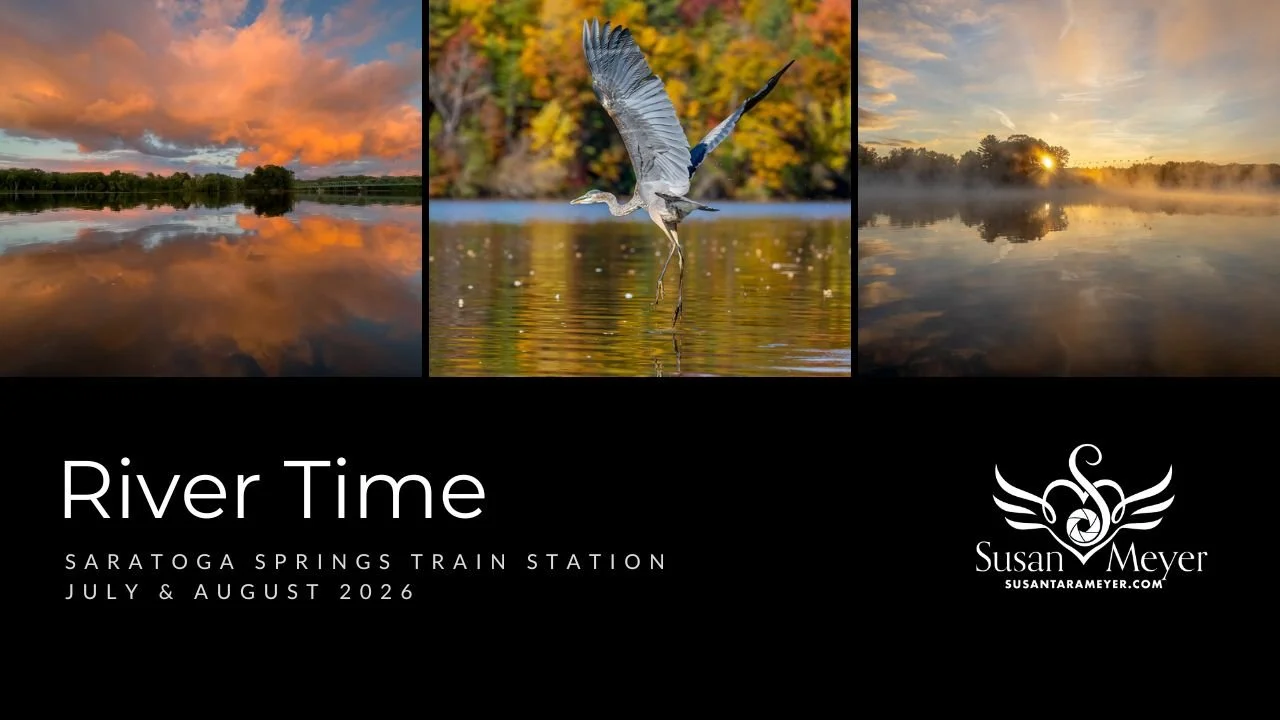 Photography Exhibition