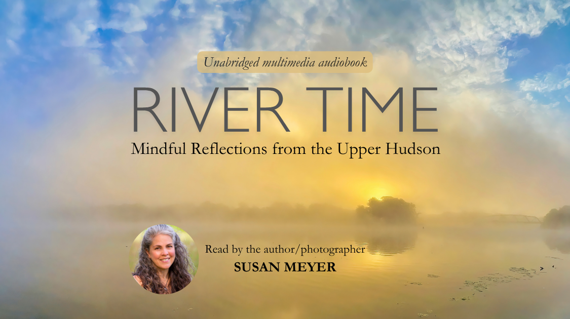 River Time Series.png