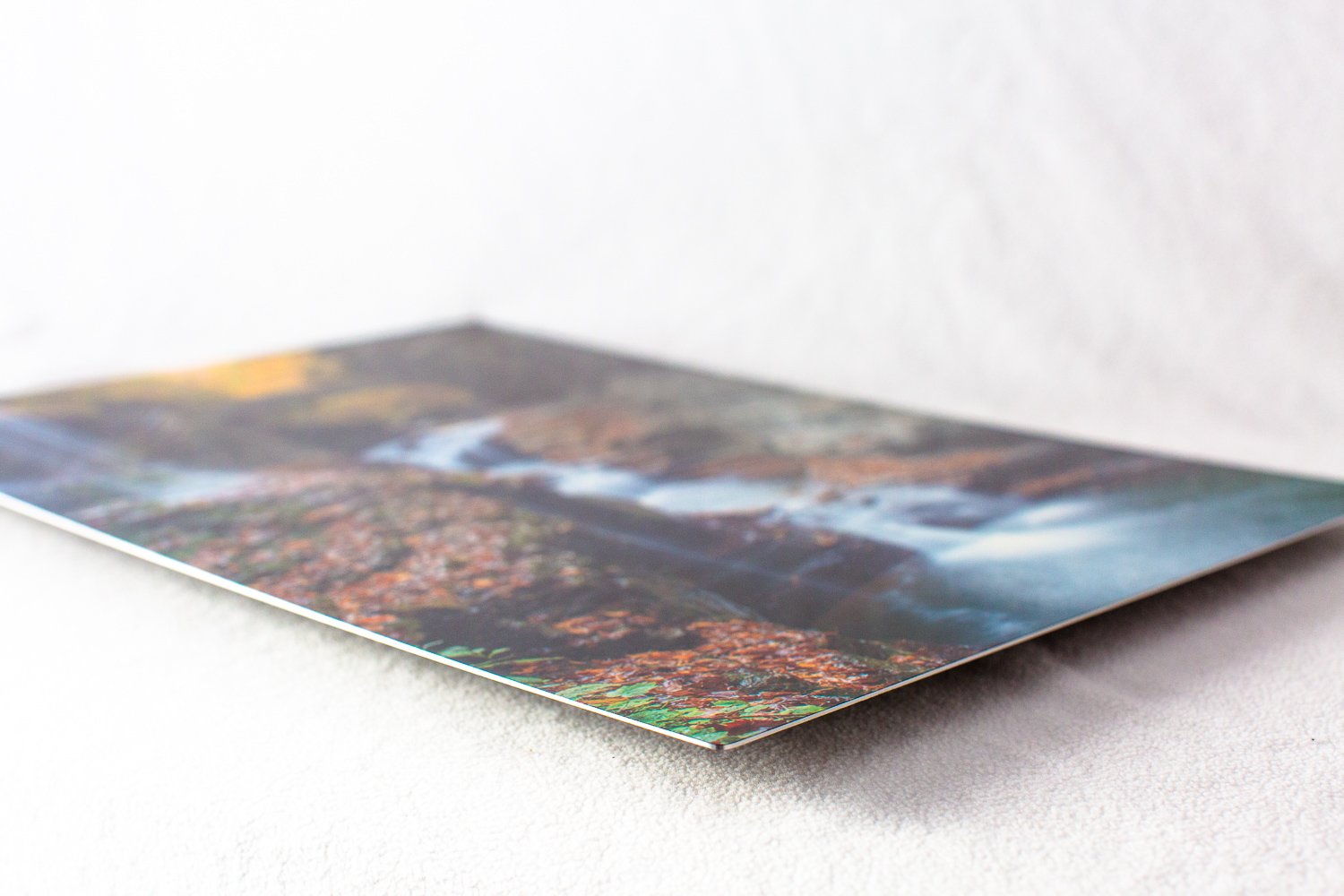 Metal print.jpg