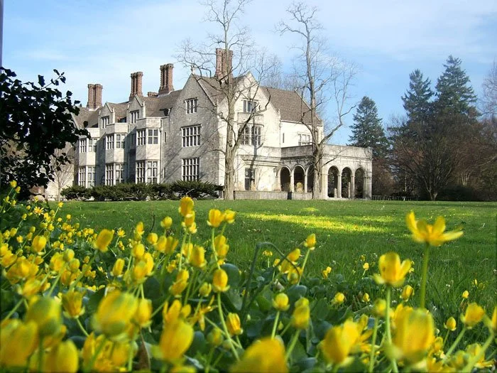 4-14-05-Coe-Daffodils-Low-Res.jpg