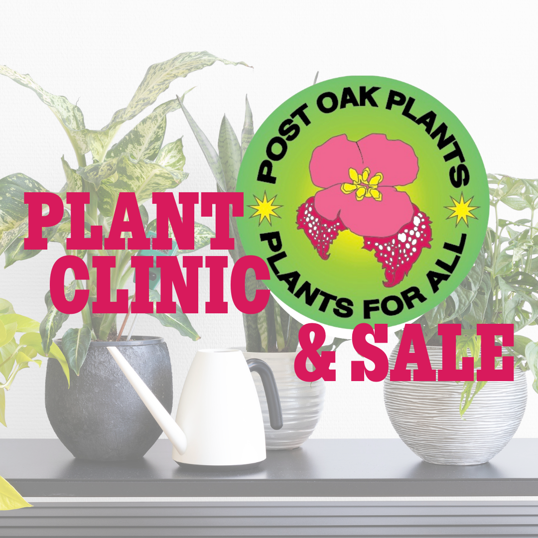 Monthly Post Oak Plant Clinic &amp; Sale