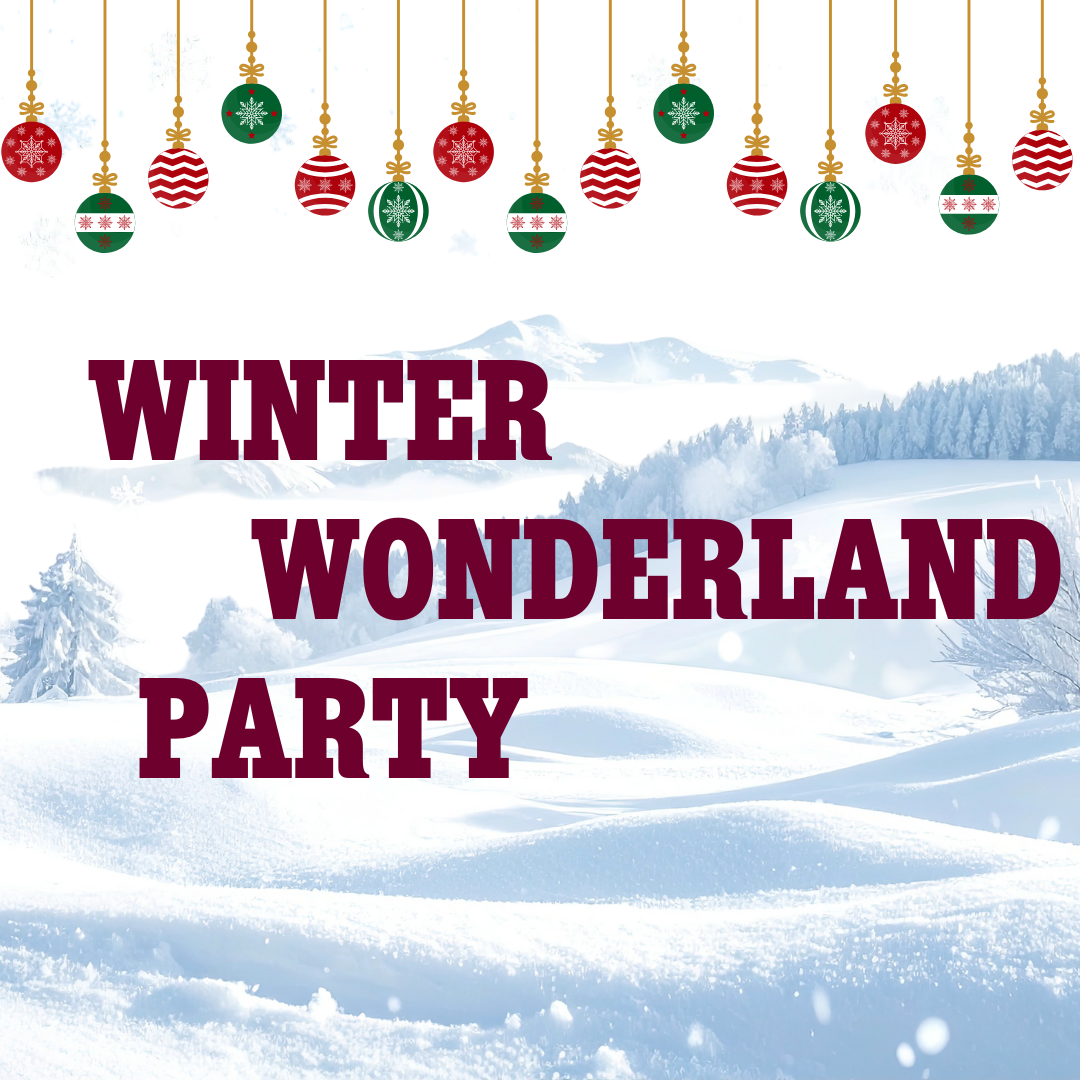 Winter Wonderland Party