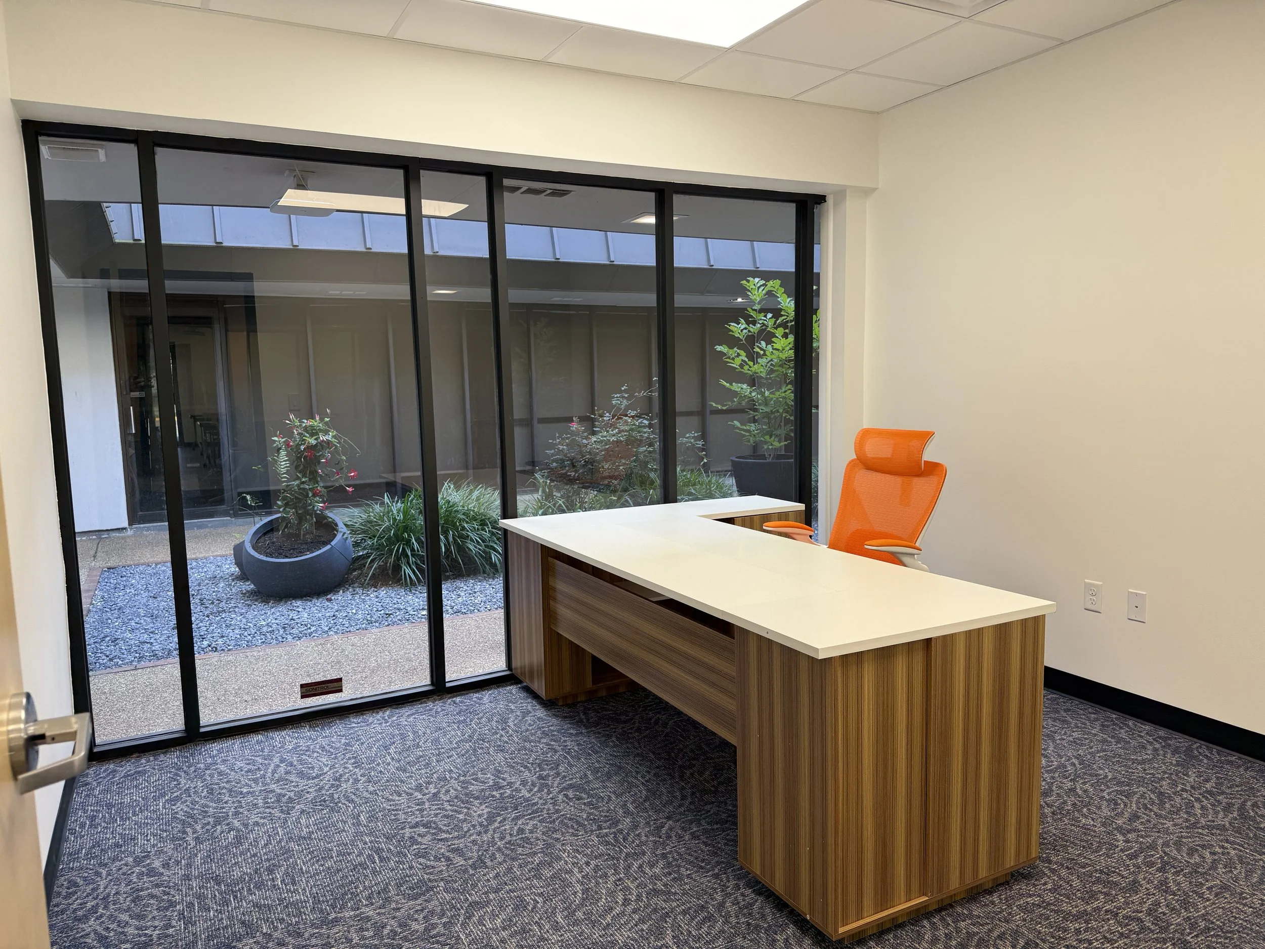 Office reception area with a wooden reception desk, orange office chair, large glass window showing an outdoor courtyard with plants, potted greenery, and a gravel ground, ceiling with fluorescent lighting, beige walls, and a gray patterned carpet.
