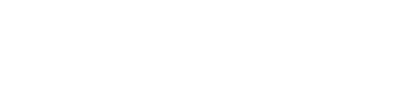 Voyagela-Logo-White.png