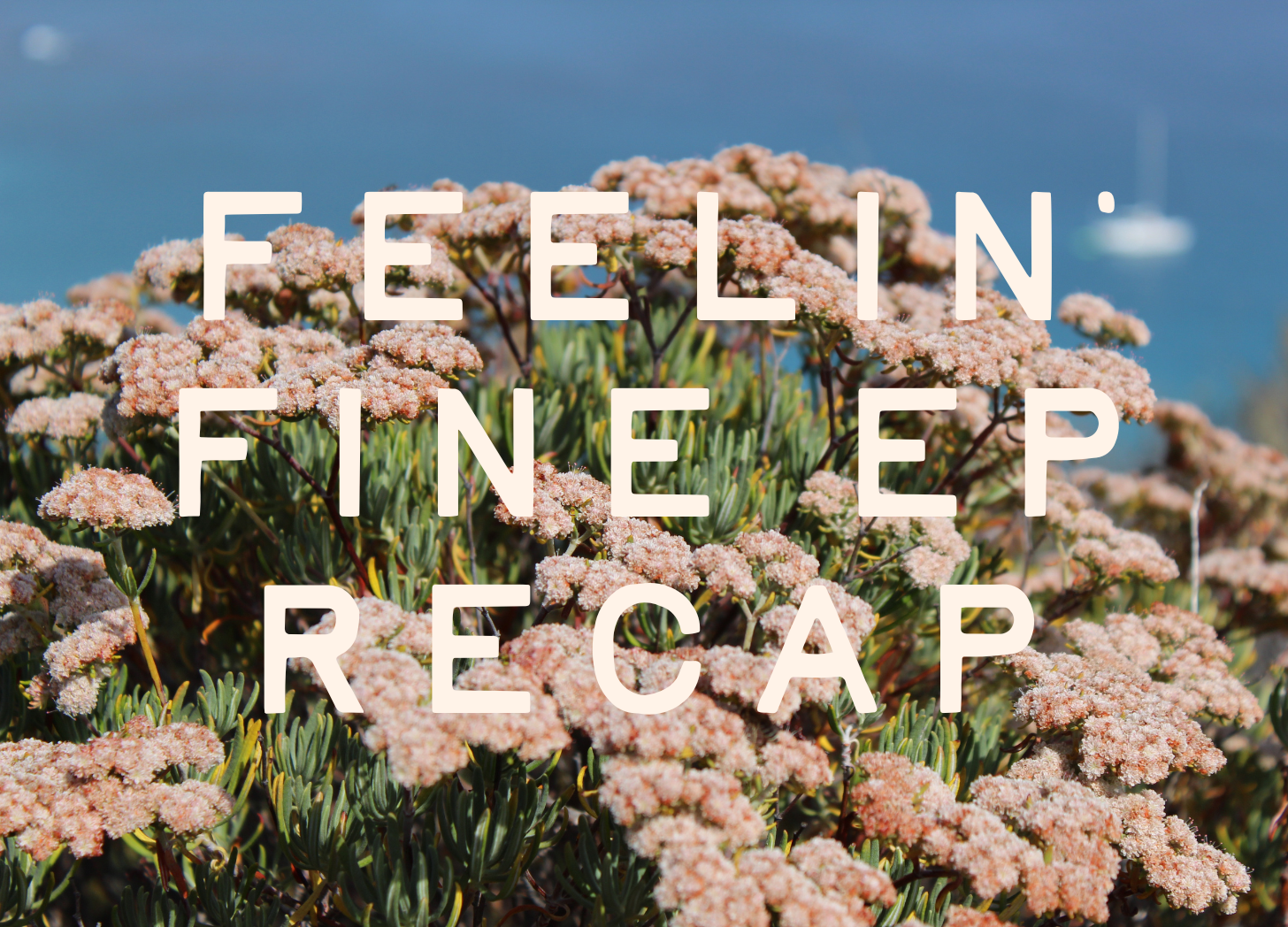 Feelin’ Fine Recap