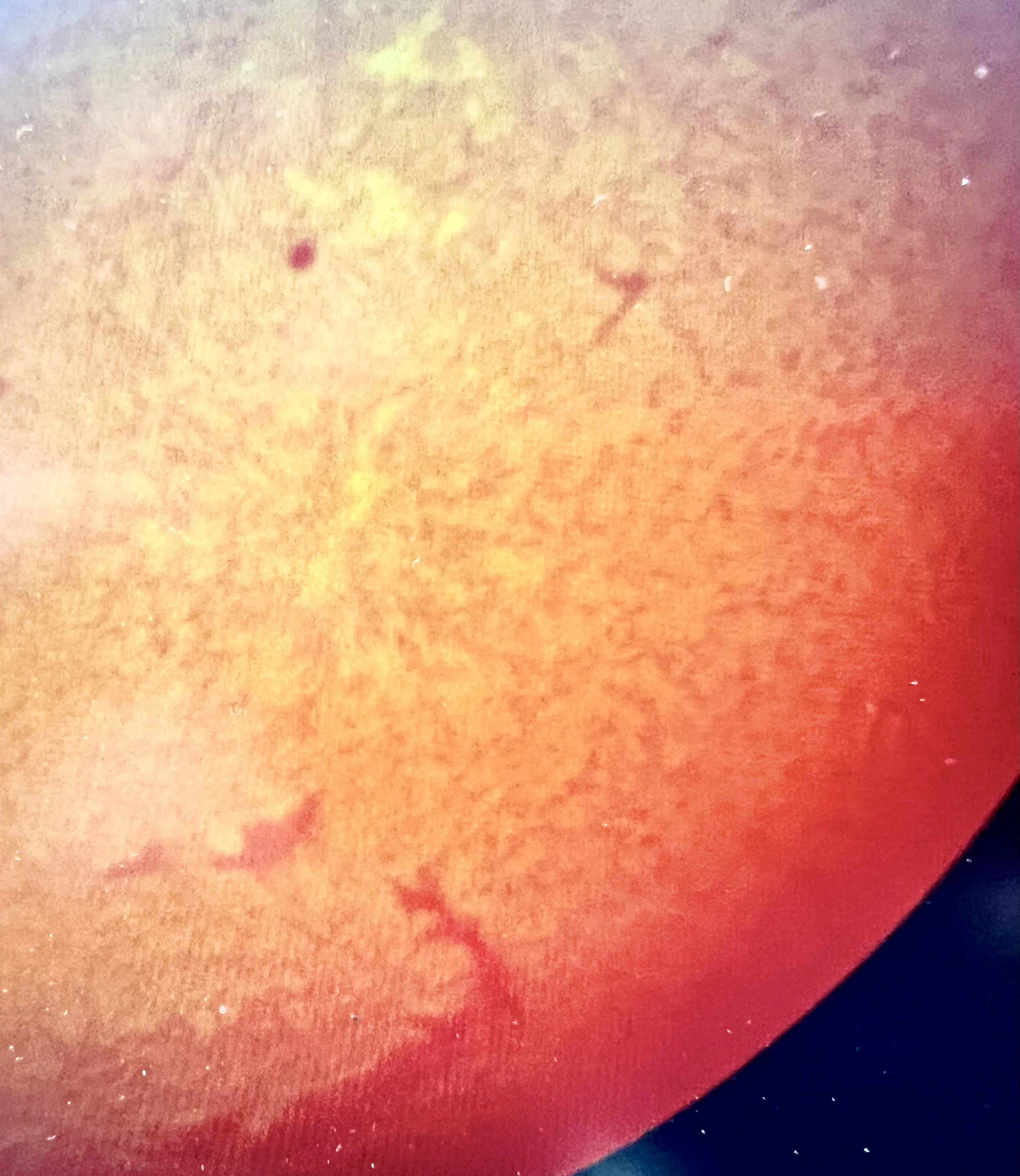 Dynamic surface of Sun in H-alpha Solar Scope