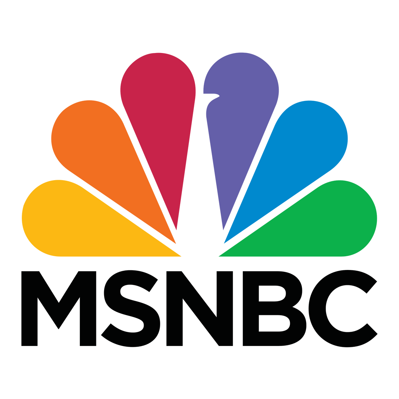 msnbc logo .png