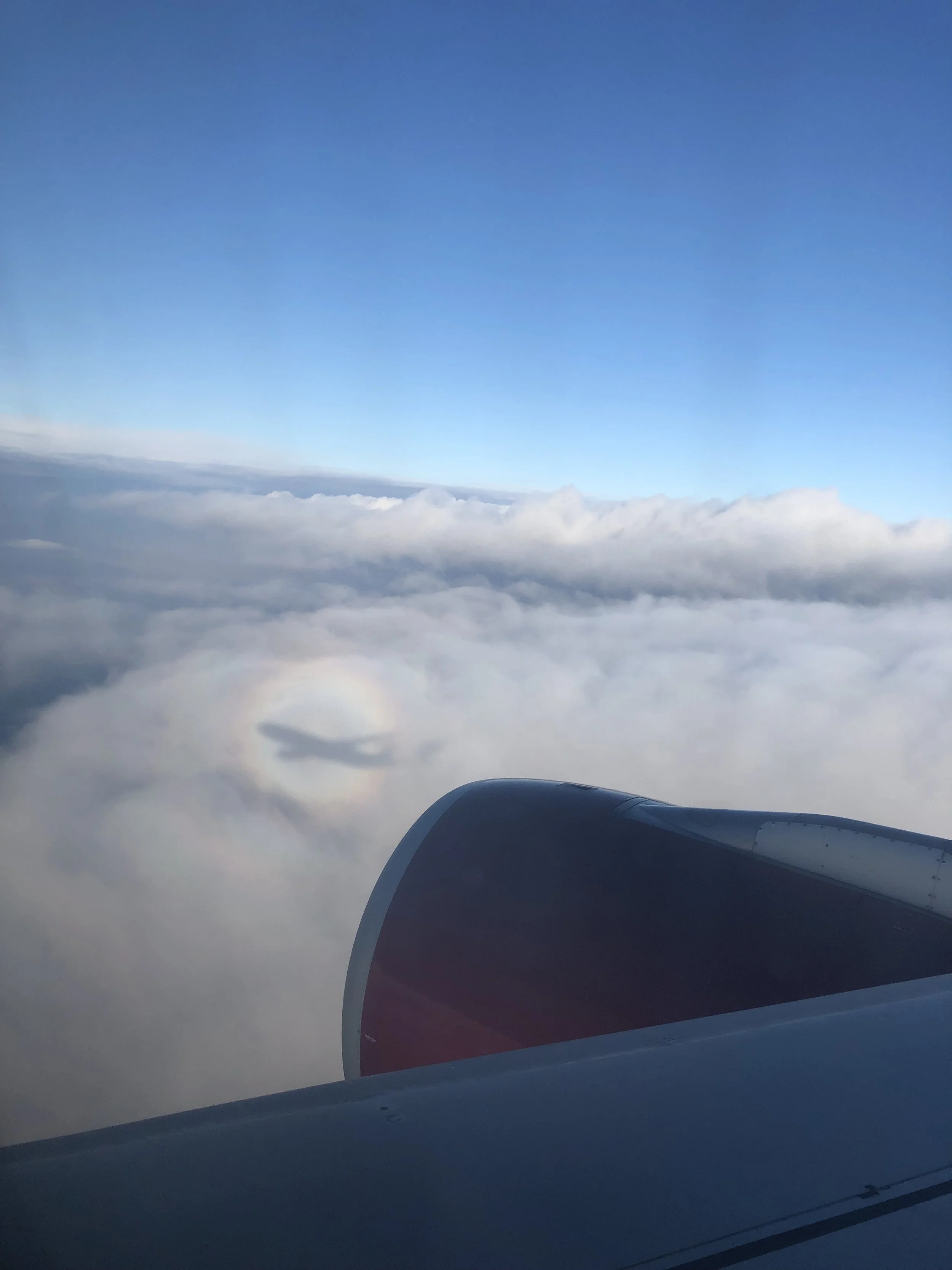 Making Air Travel Accessible: Travel Mates’ Guide to U.S. &amp; Canadian Airlines Accessibility Information