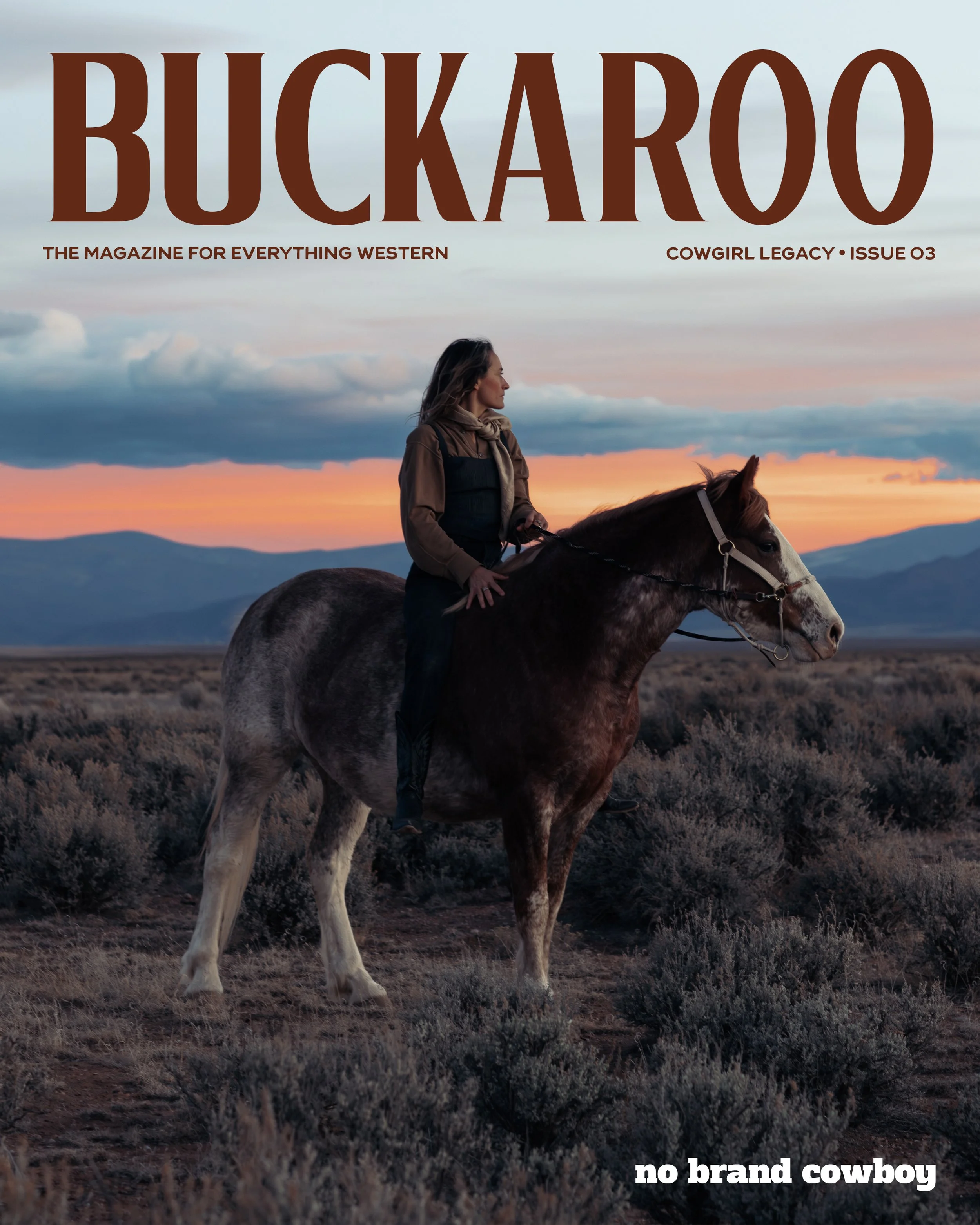 buckaroo-magazine-ISSUE-03.jpg