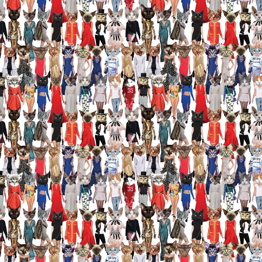 CATWALK-XL-Front.jpg
