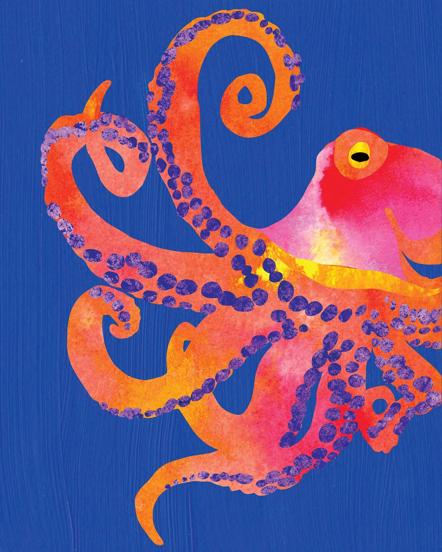 octopus-in-the-hood-canal-8x10-print-art.jpg
