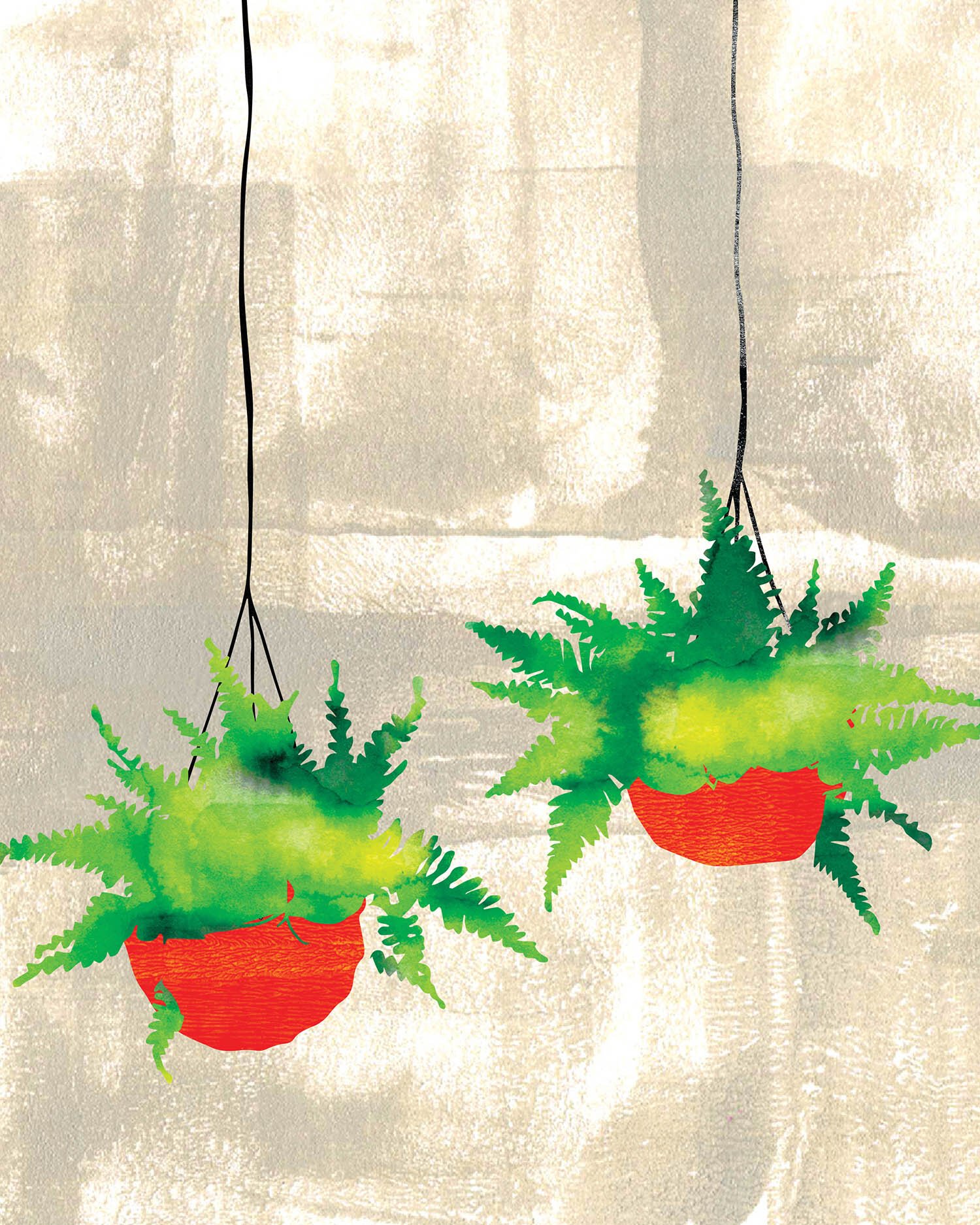 two-ferns-print-8x10-print-art.jpg
