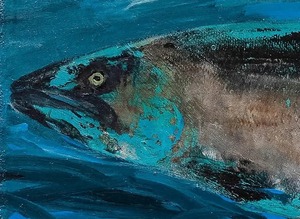 web---blue-salmon.jpg