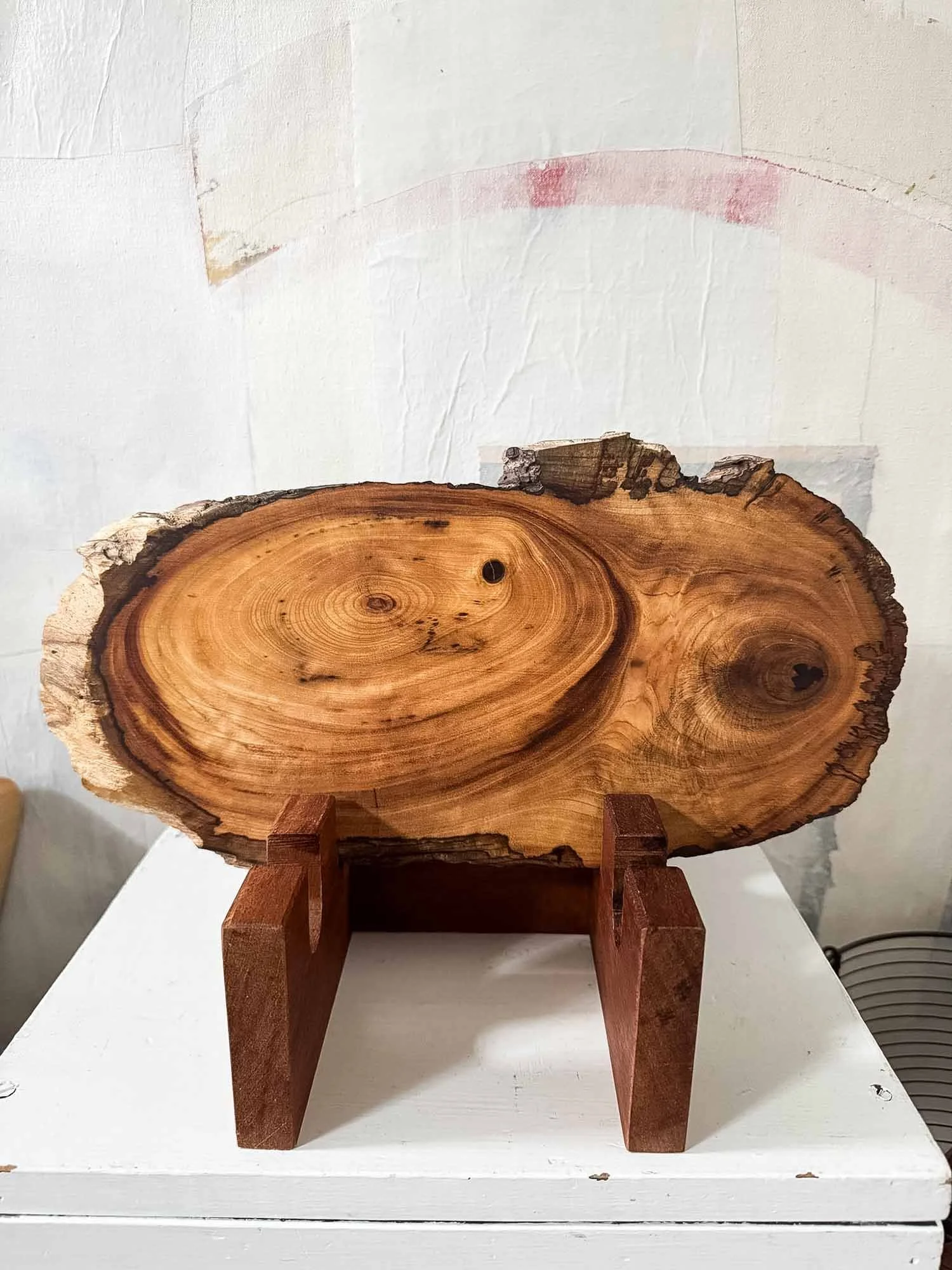 Live Edge Mrytlewood Burl Charcuterie Board 15" x 7.5"