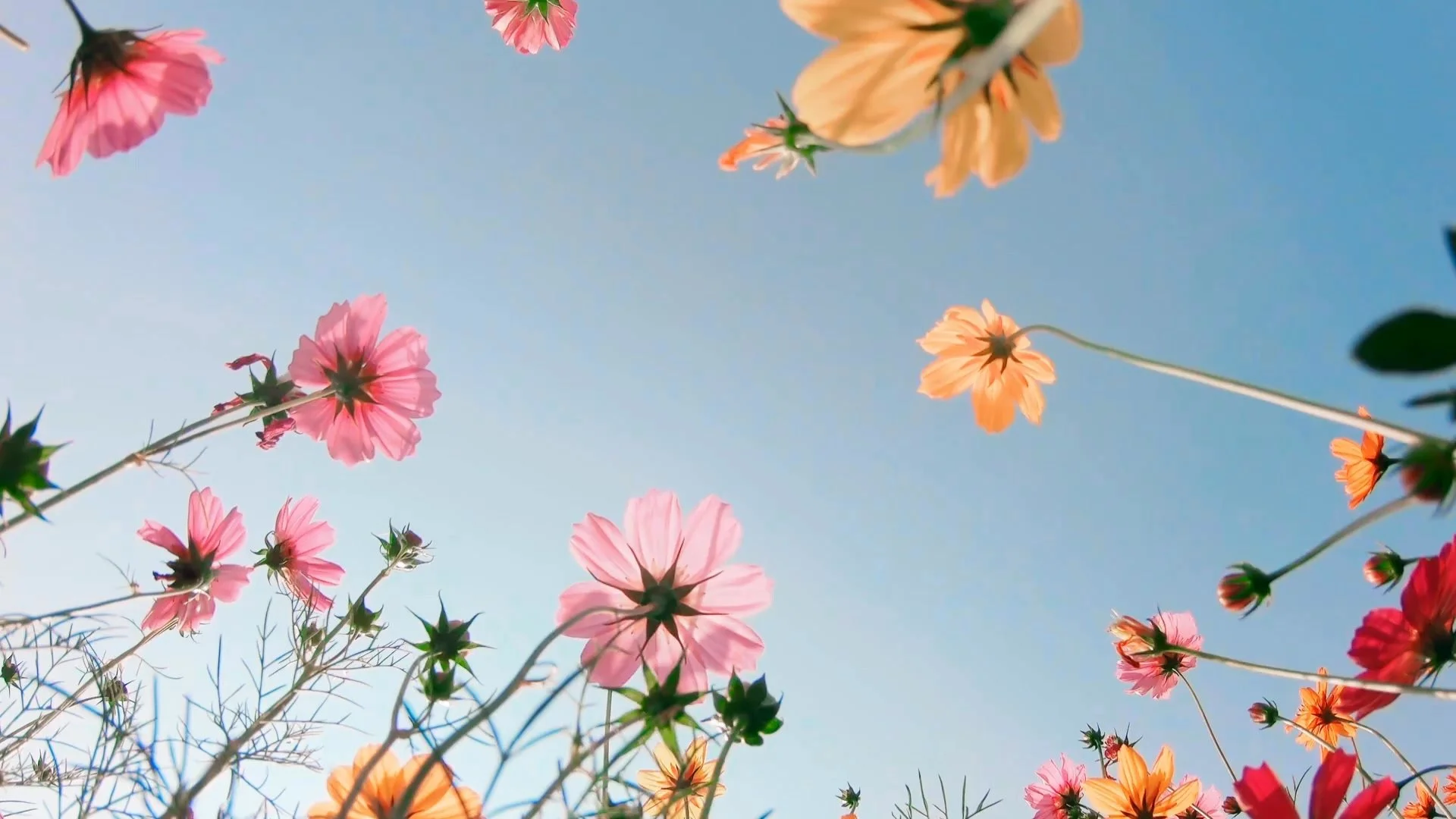 LUNGS opens in just over a week! Can you believe it??

Check out the teaser trailer and some rehearsal photos!

In the not-so-distant future, two people wrestle with the havoc climate change is slowly wreaking on the world, and the havoc they continu